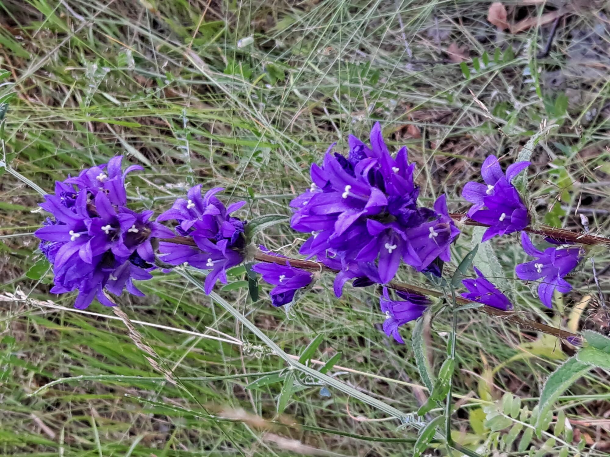 Valokuvaaja: Satu Suuntala