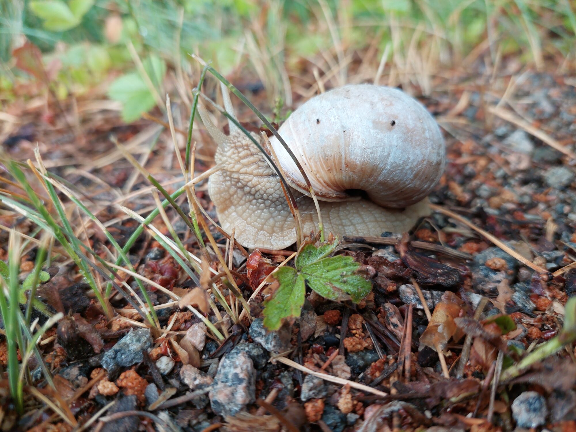 Valokuvaaja: Mikko Huusko