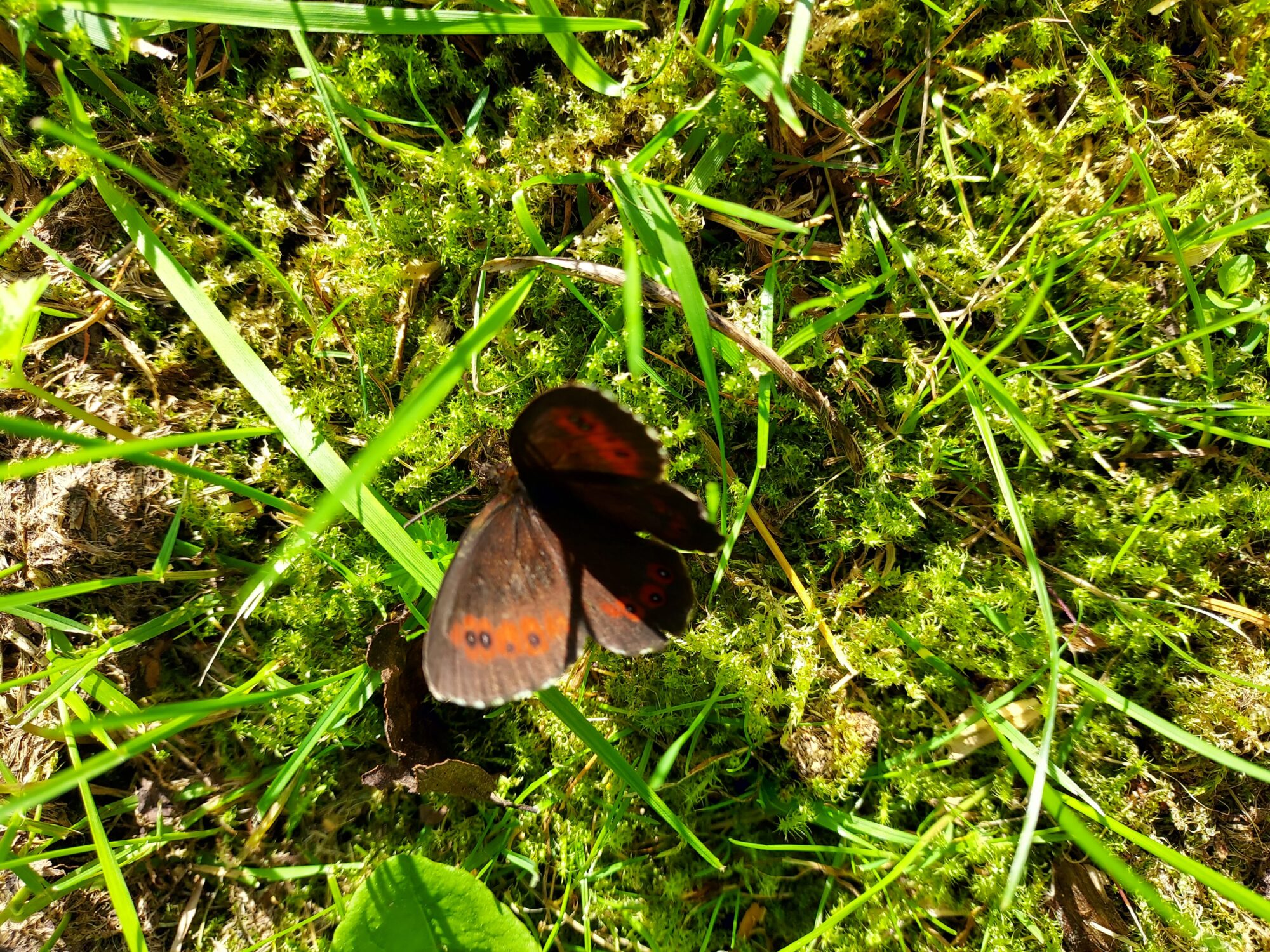 Valokuvaaja: Eija Johanna Saastamoinen