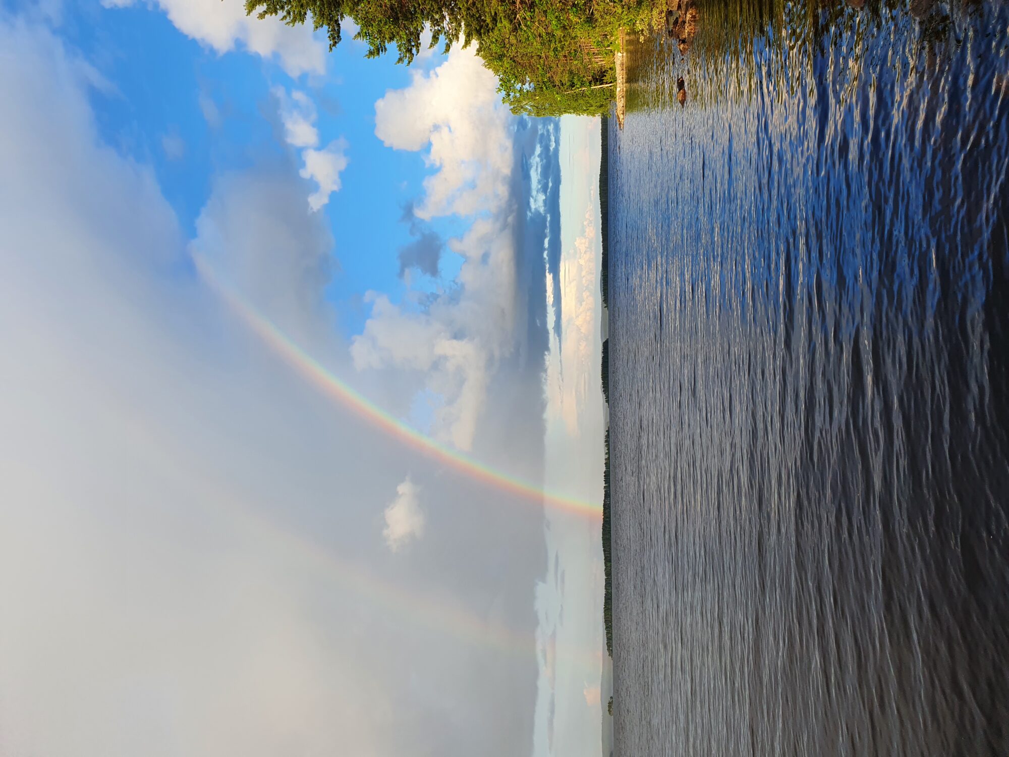 Valokuvaaja: Lilja Kemppainen