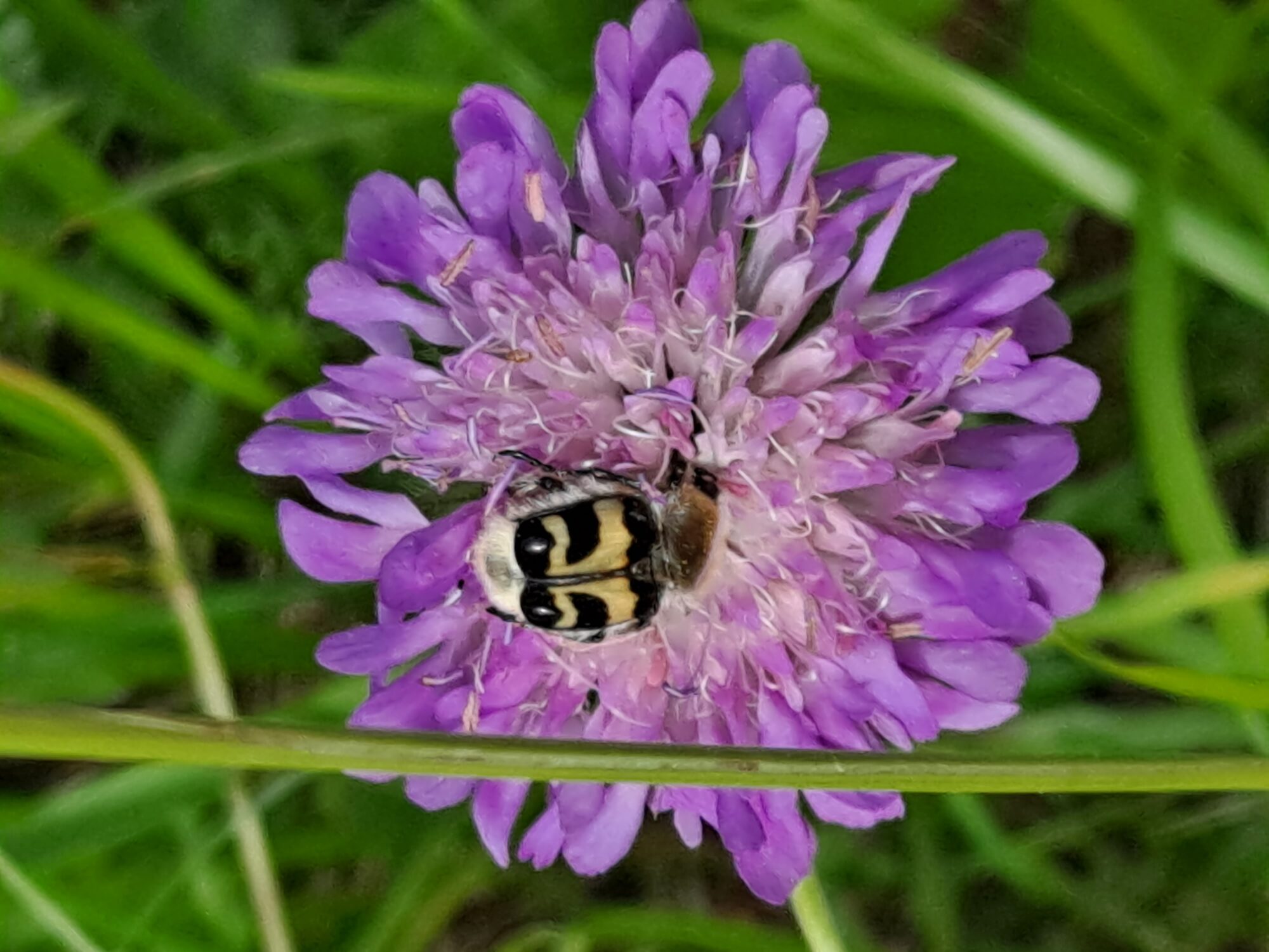 Valokuvaaja: Satu Suuntala