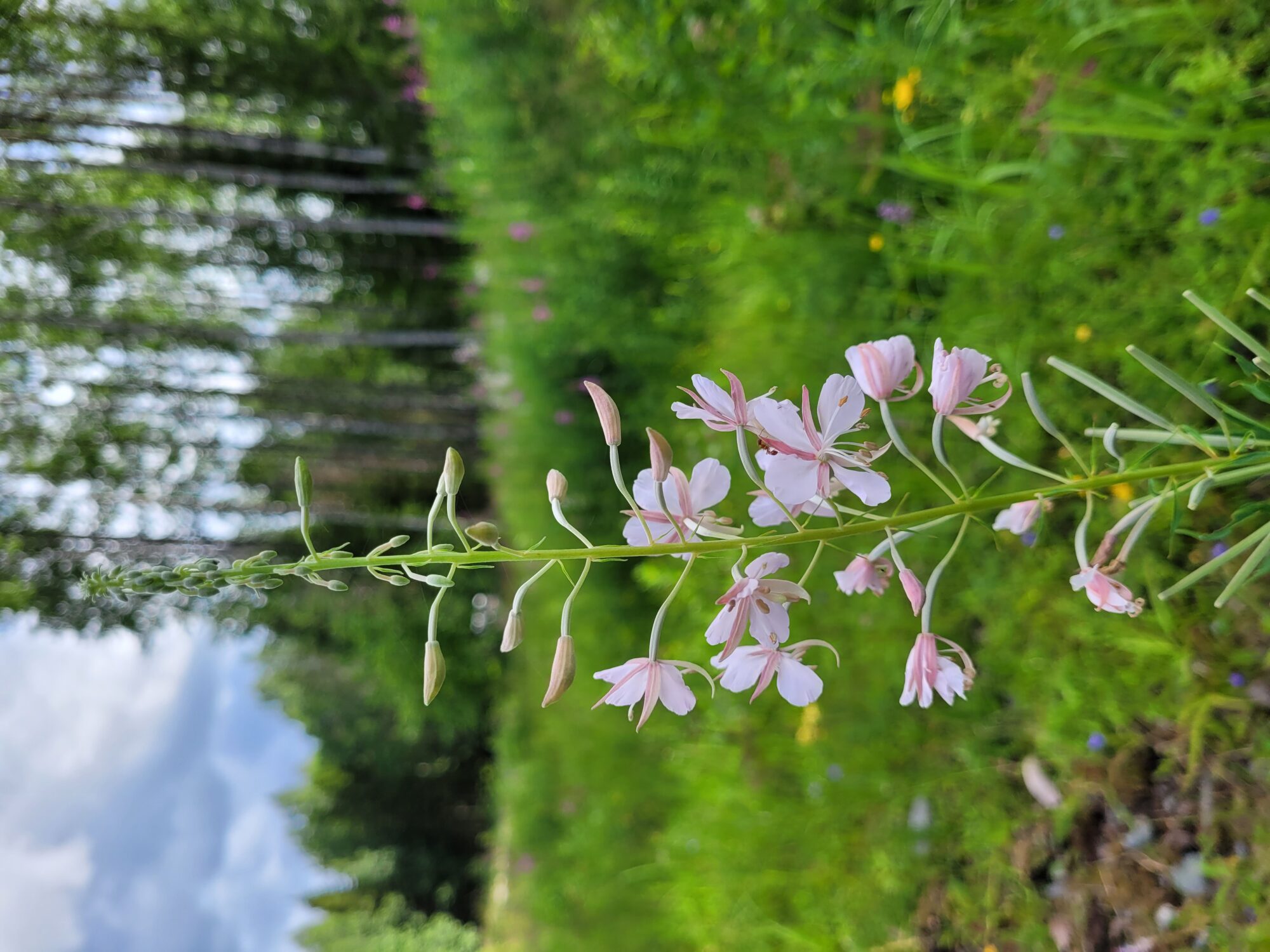Valokuvaaja: Satu Ritolehto