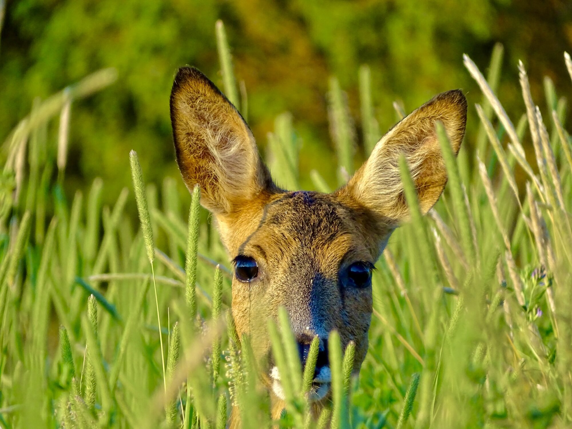 Valokuvaaja: Juhani Peltonen