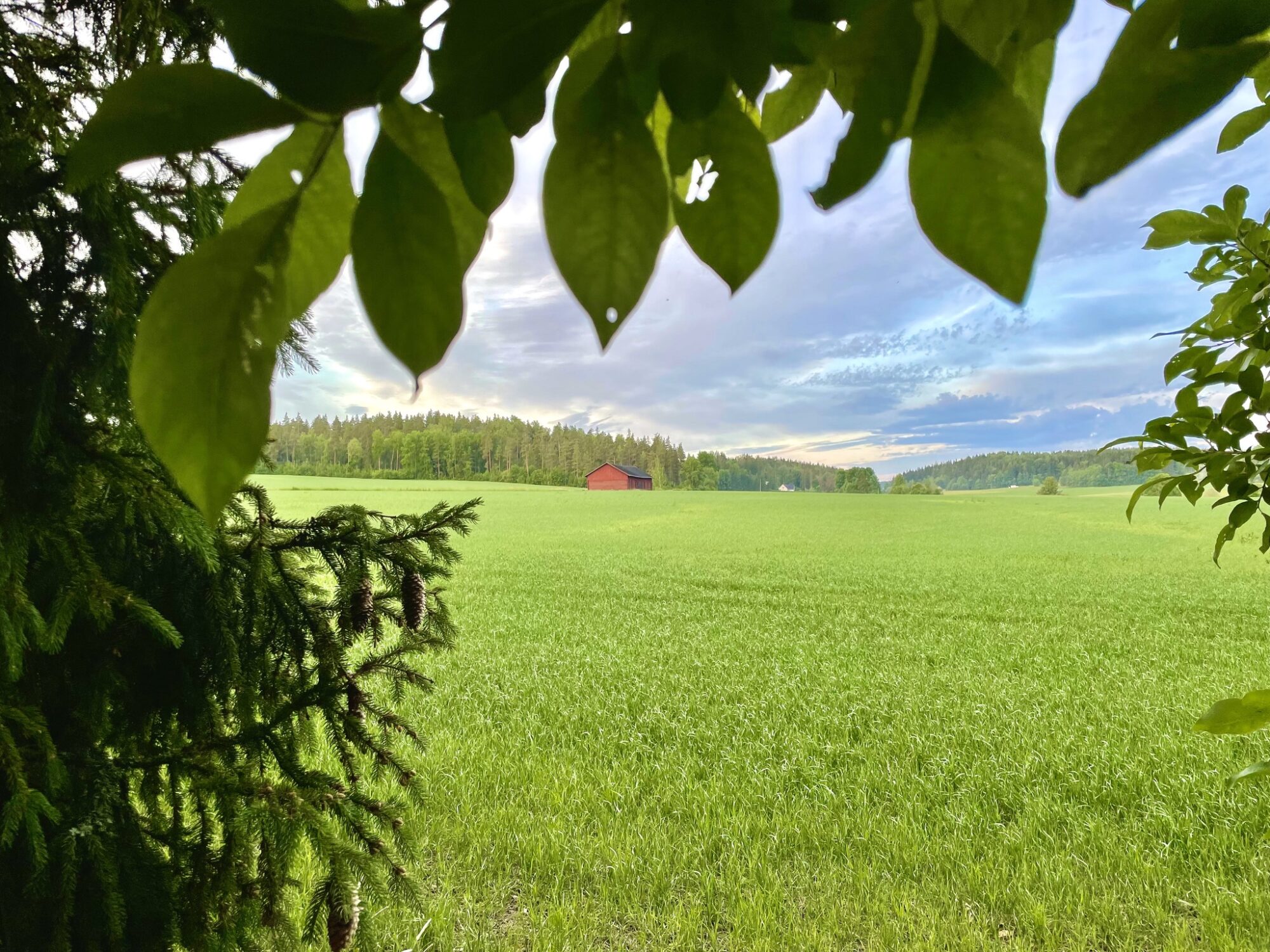 Valokuvaaja: Juhani Peltonen