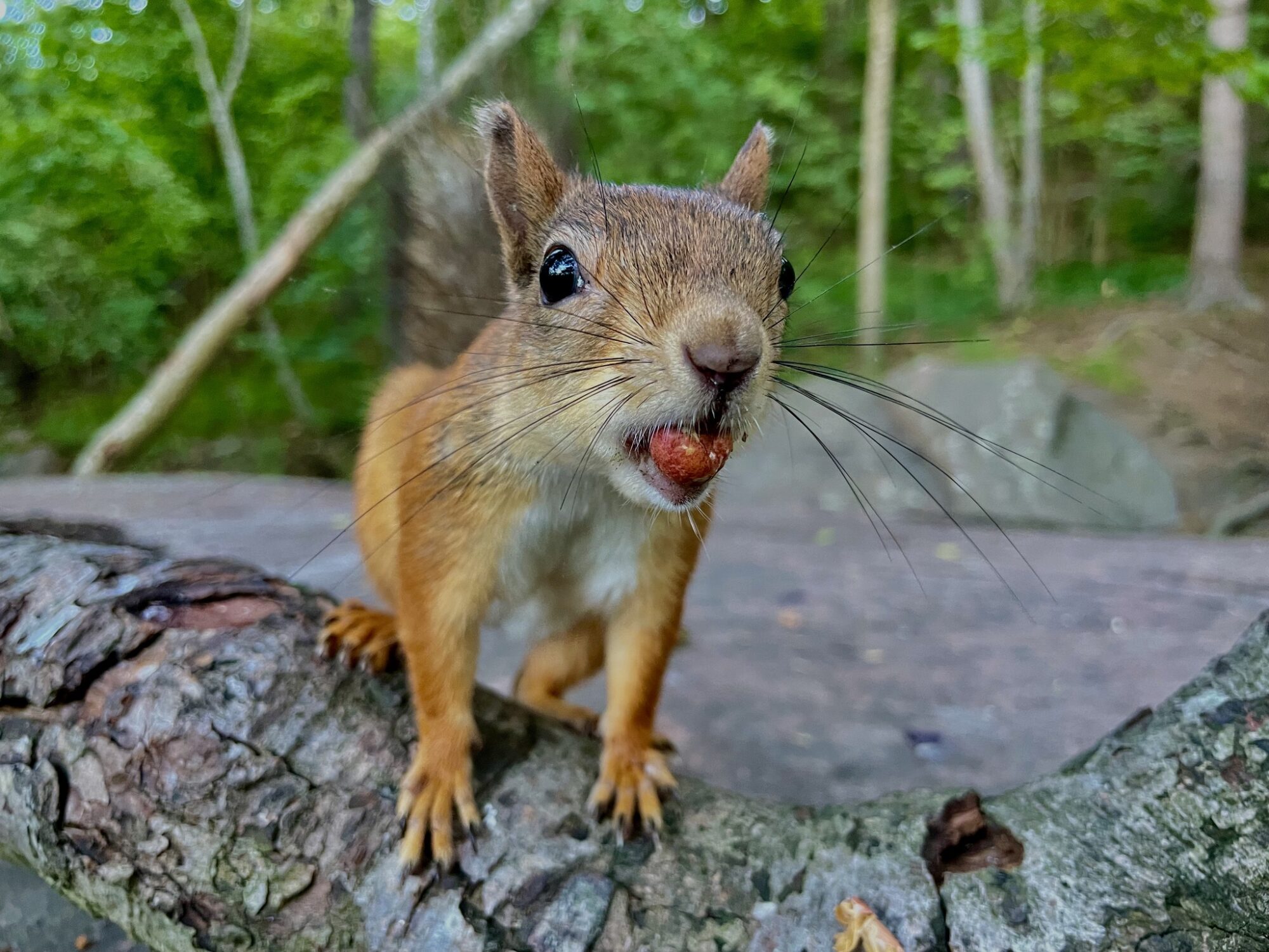 Valokuvaaja: Juhani Peltonen