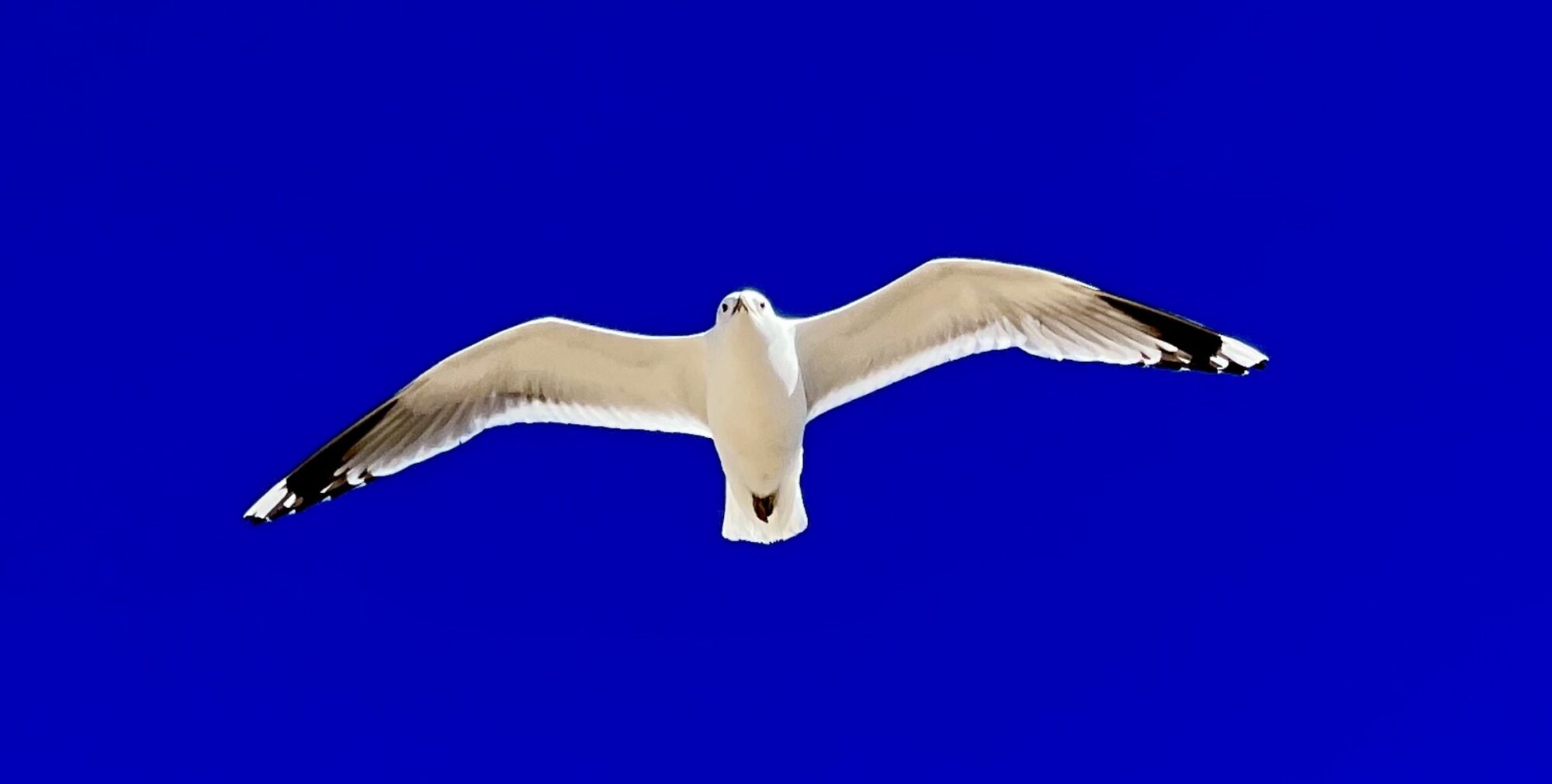 Valokuvaaja: Juhani Peltonen