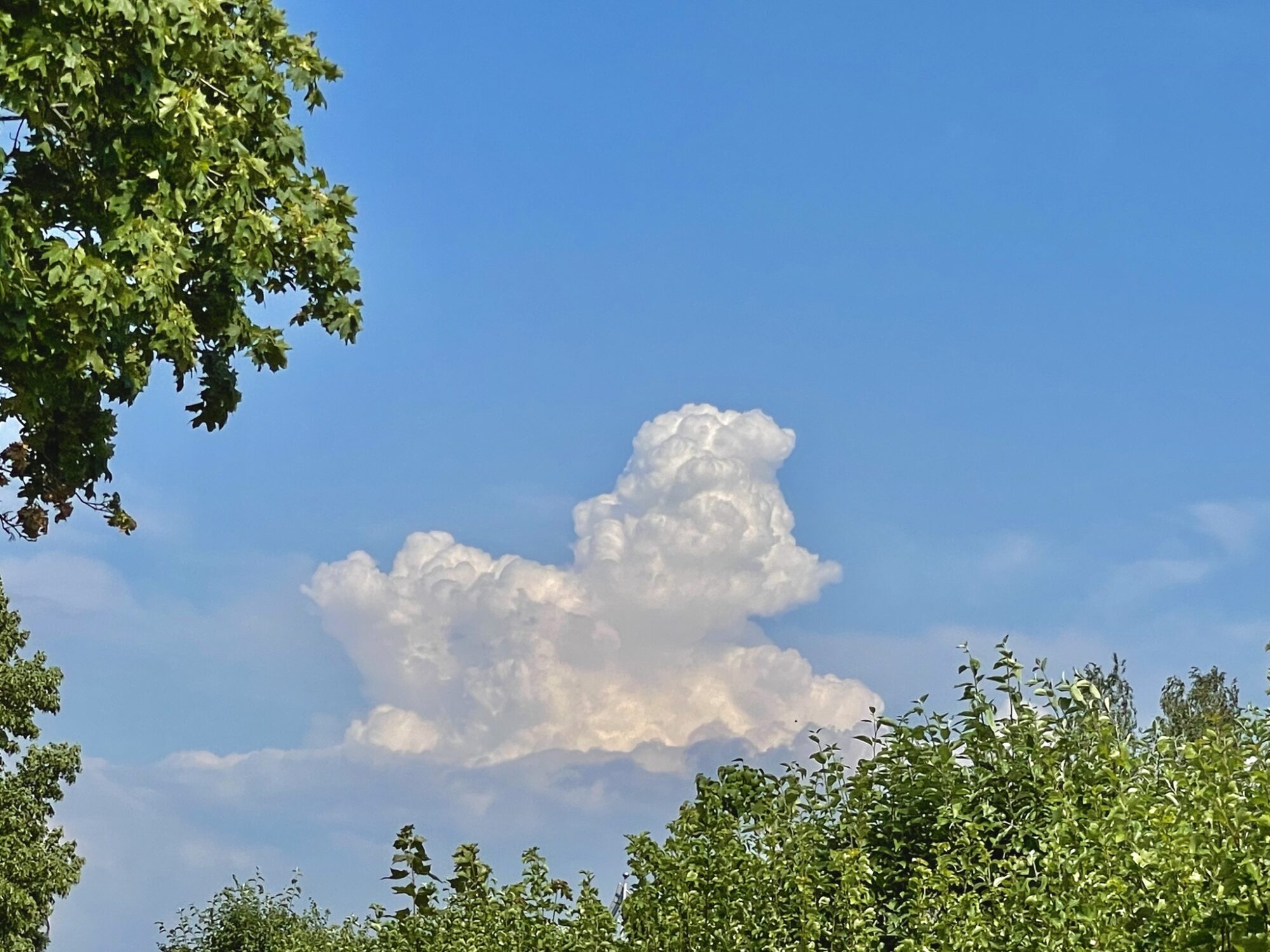 Valokuvaaja: Juhani Peltonen