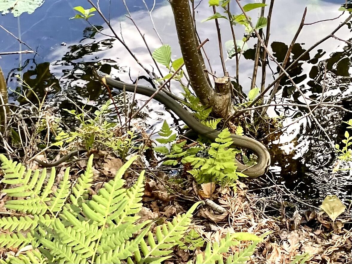 Valokuvaaja: Pirjo Kallio