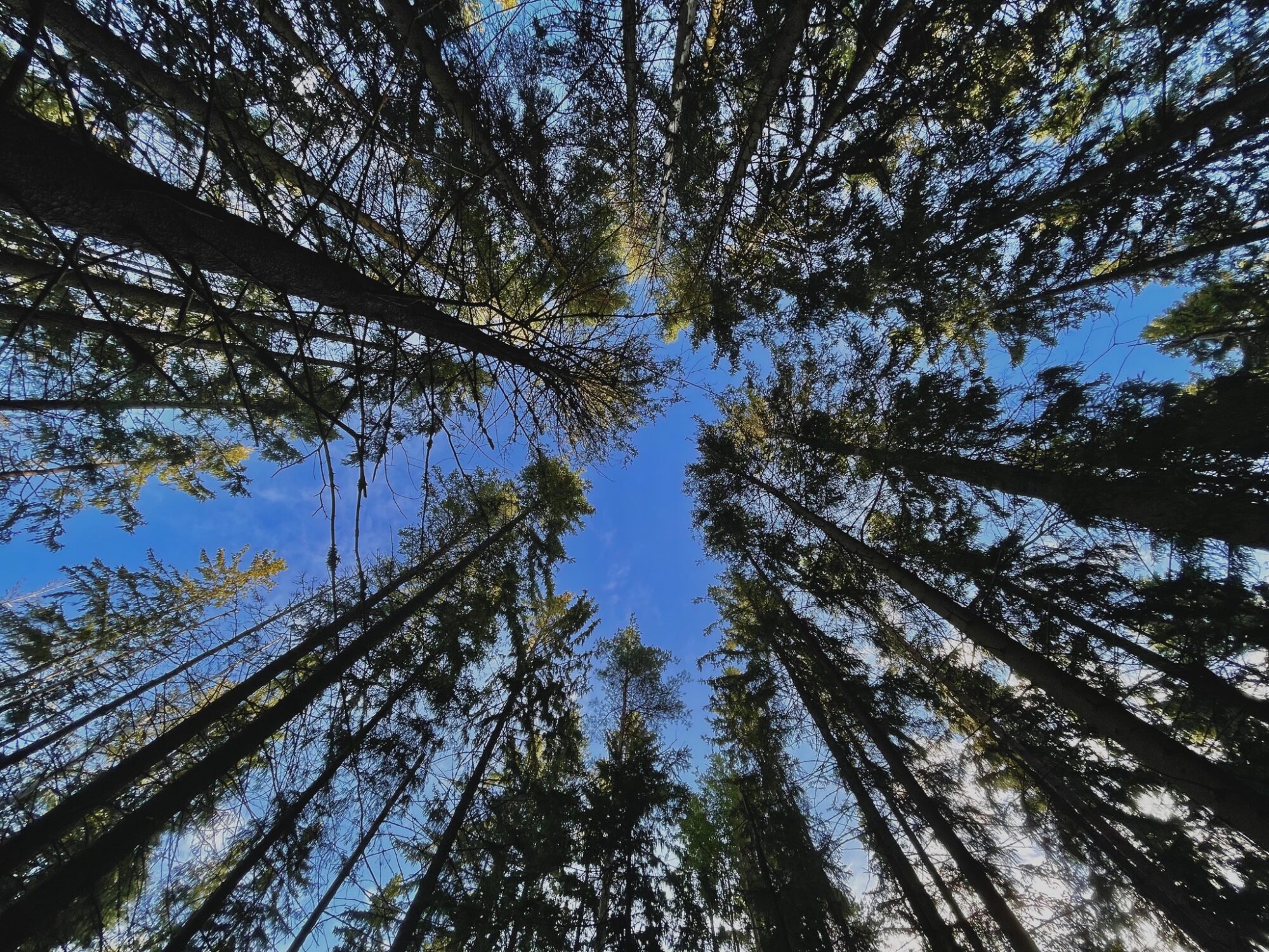 Valokuvaaja: Juhani Peltonen