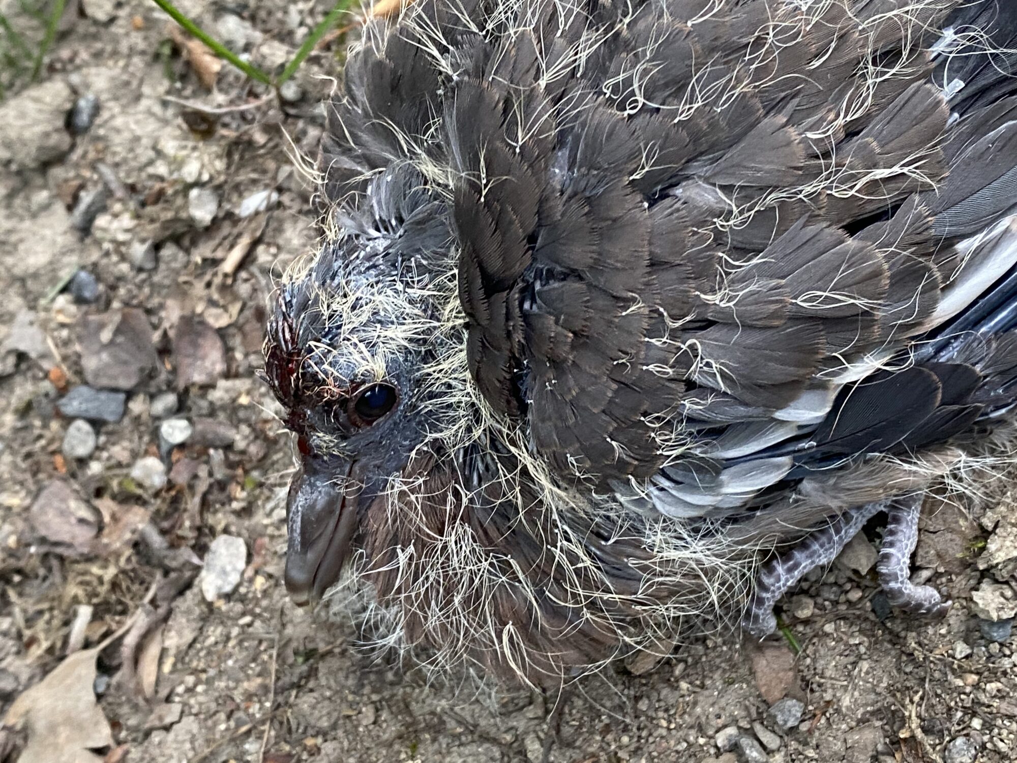 Valokuvaaja: Minna Keronen