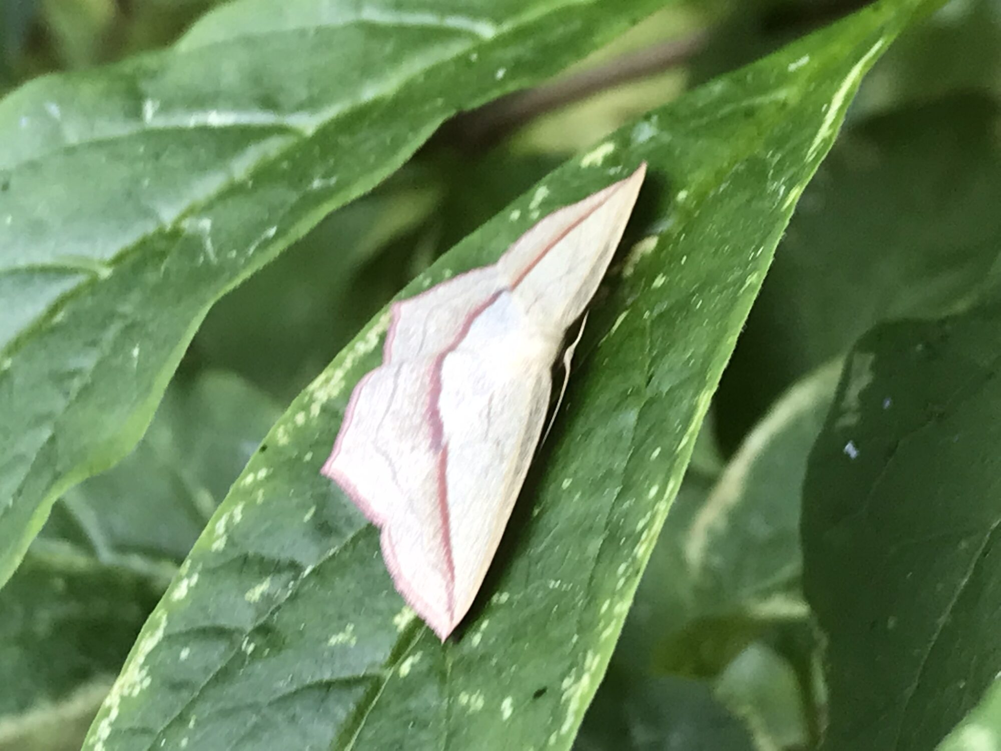 Valokuvaaja: Sari Söderlund