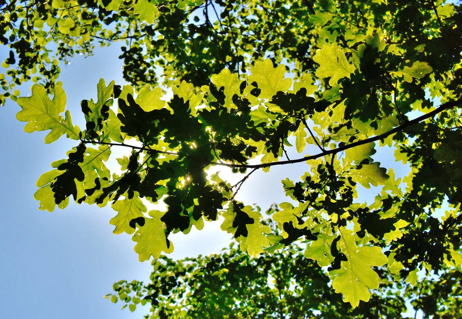 Valokuvaaja: Reijo Juurinen