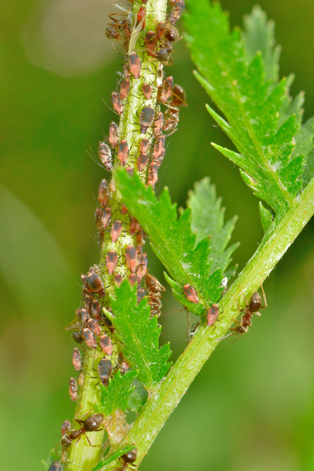 Valokuvaaja: Reijo Juurinen