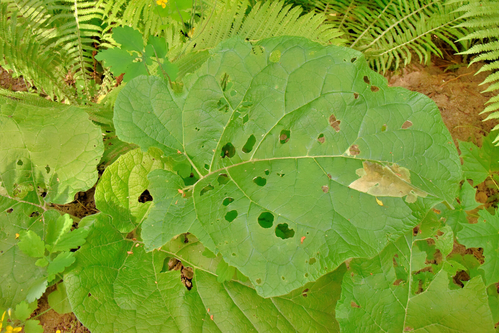 Valokuvaaja: Reijo Juurinen