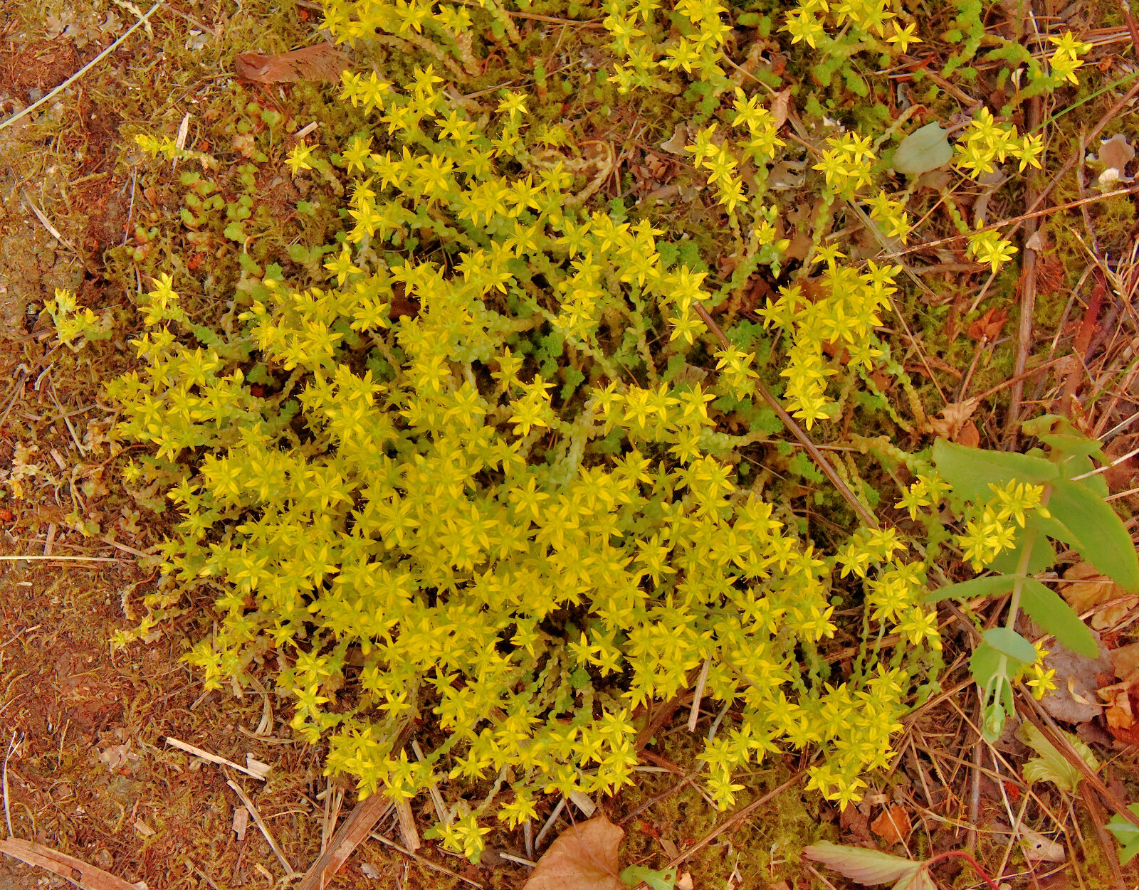 Valokuvaaja: Reijo Juurinen