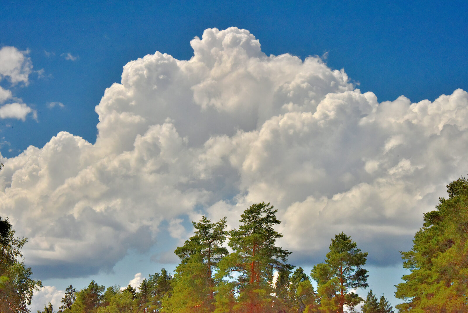 Valokuvaaja: Reijo Juurinen Valokuvaaja: Reijo Juurinen