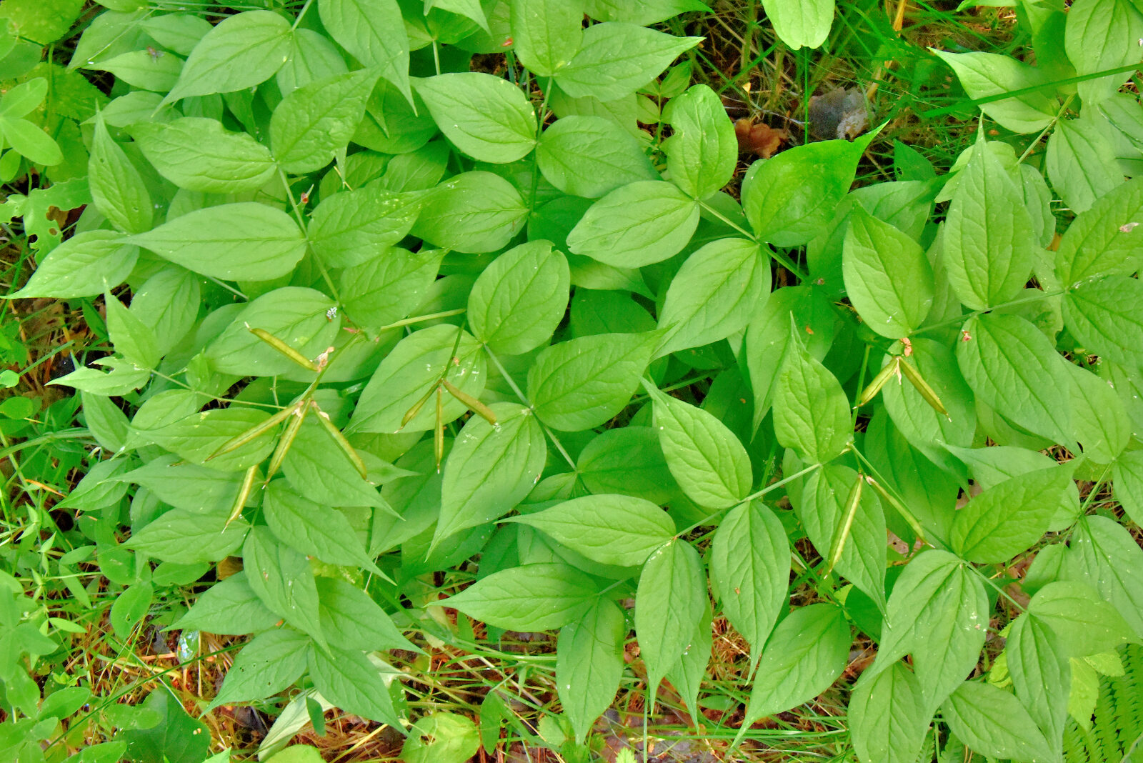 Valokuvaaja: Reijo Juurinen