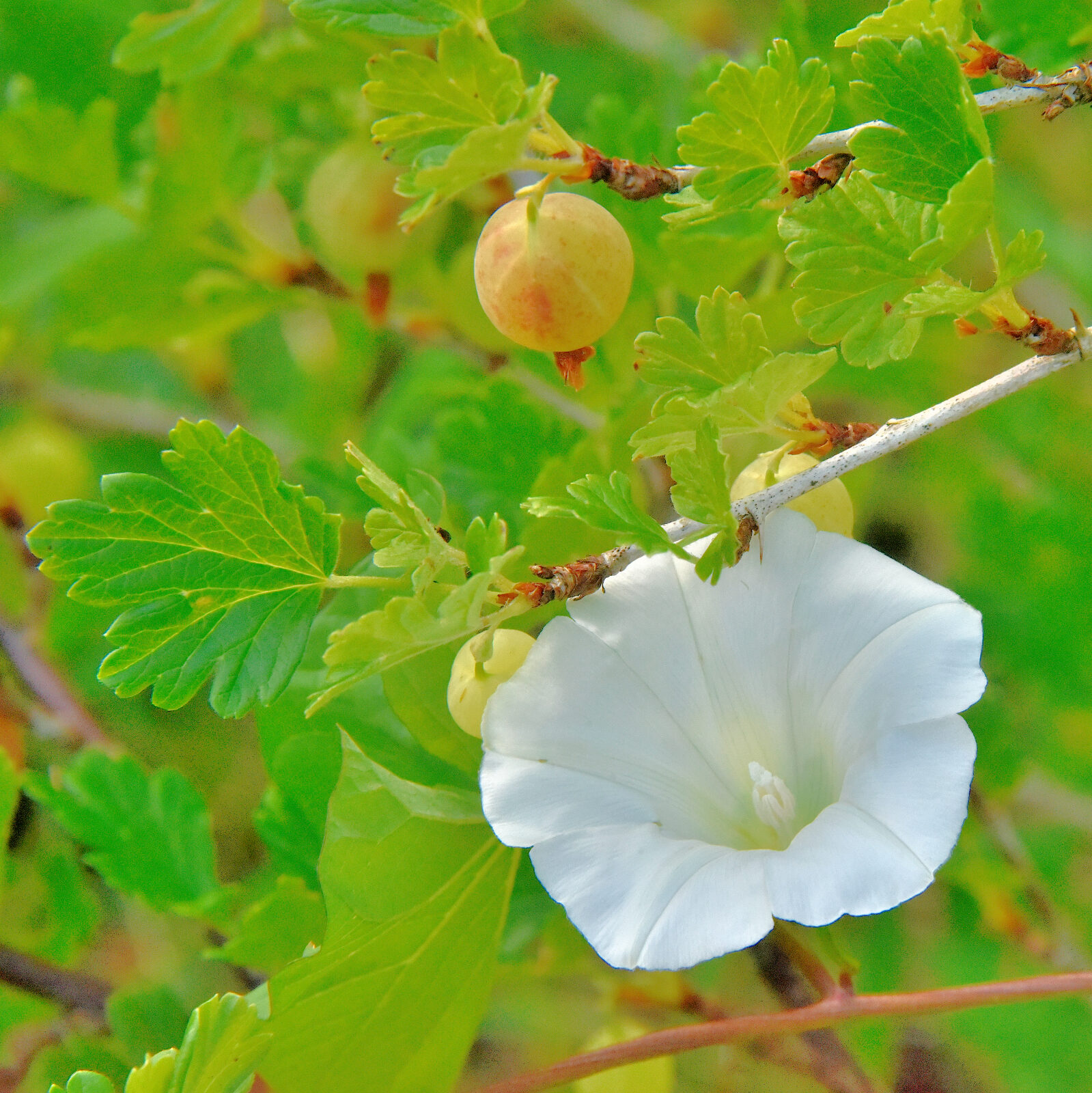 Valokuvaaja: Reijo Juurinen