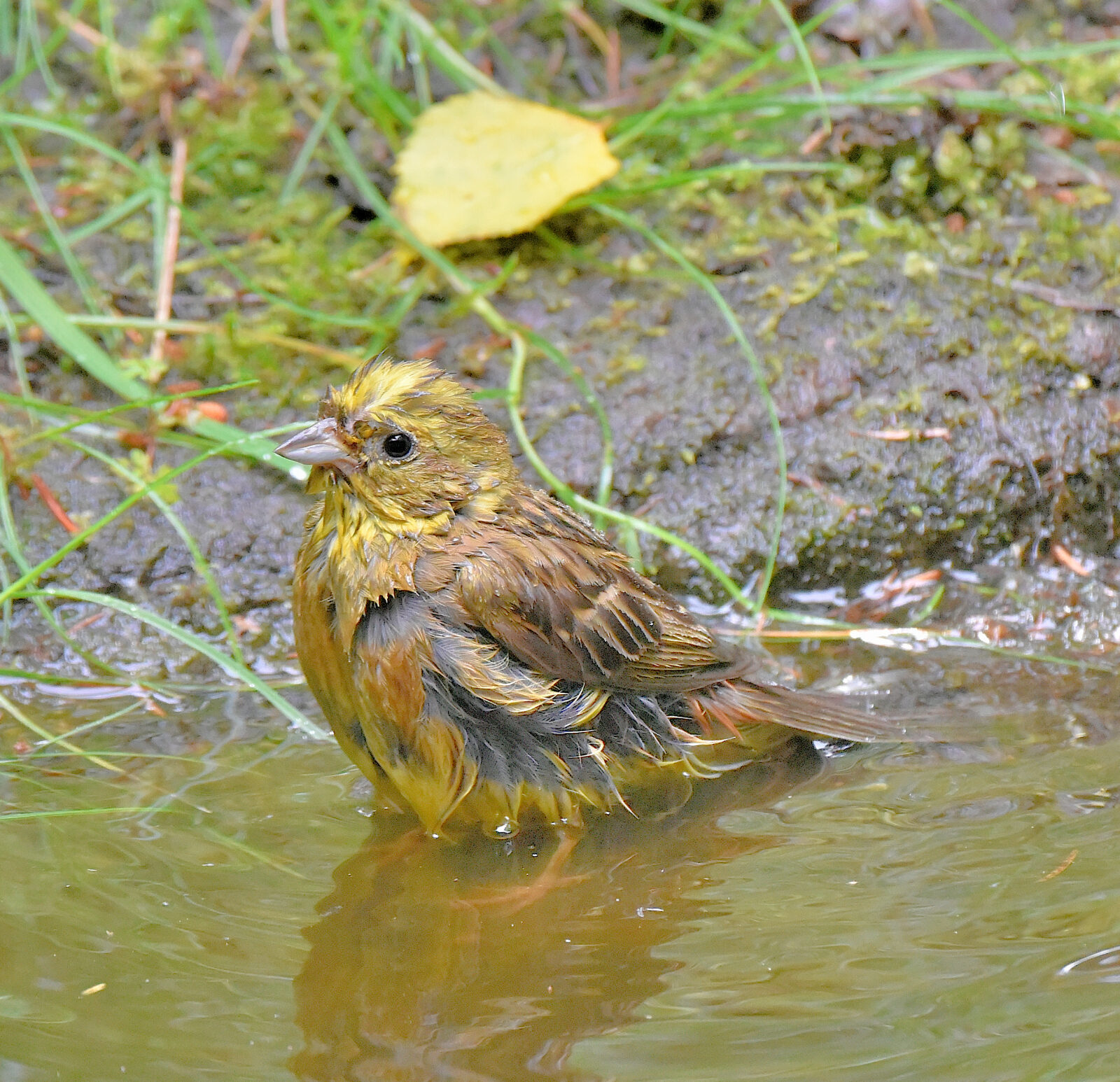 Valokuvaaja: Reijo Juurinen