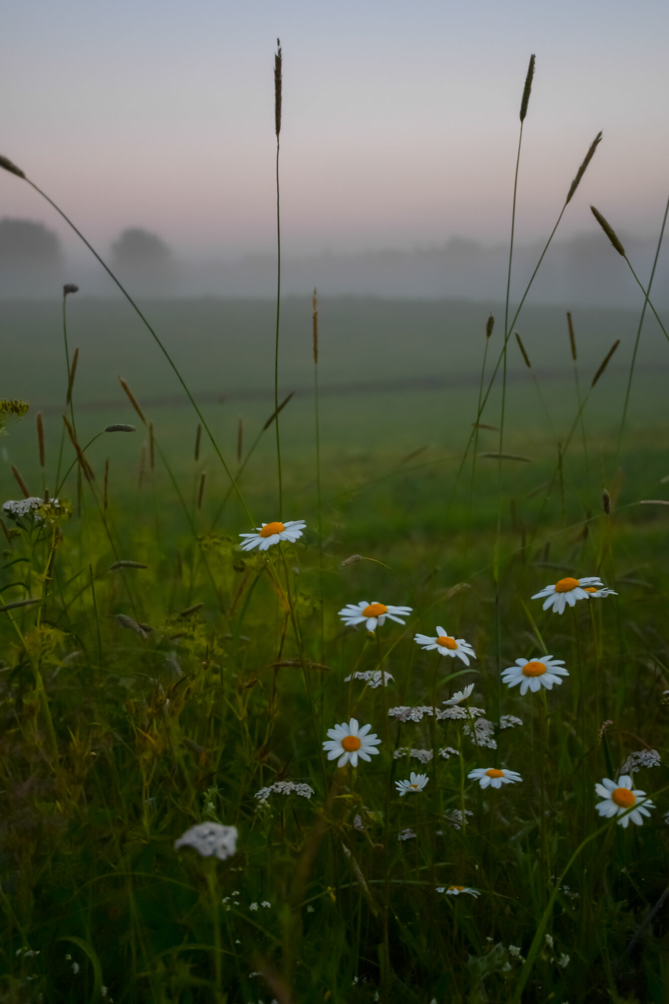 Valokuvaaja: Leena Rissanen