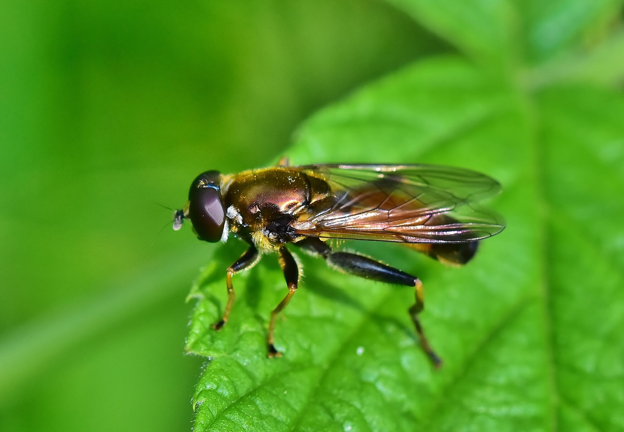 Valokuvaaja: Markku Pelkonen