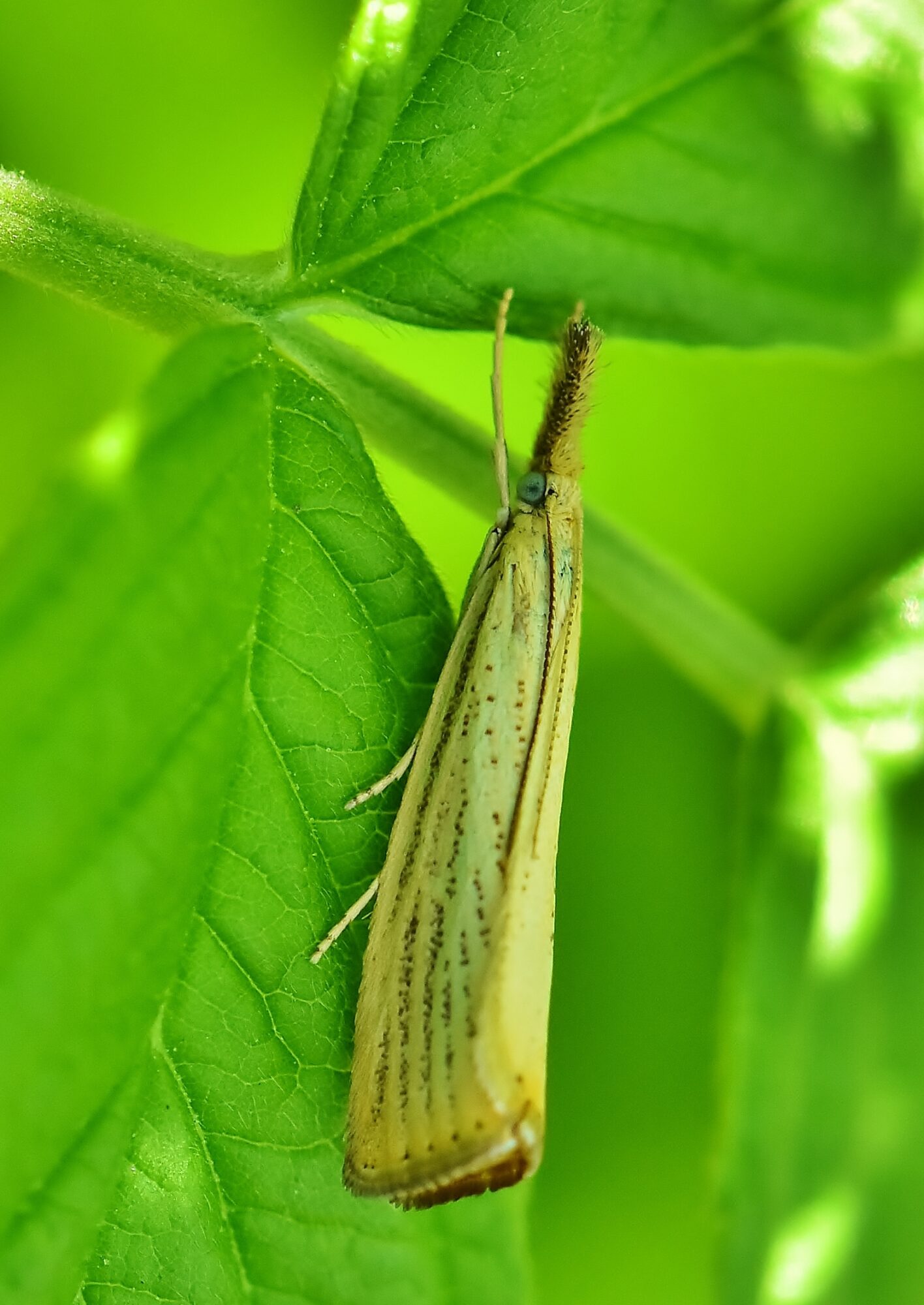 Valokuvaaja: Markku Pelkonen Valokuvaaja: Markku Pelkonen
