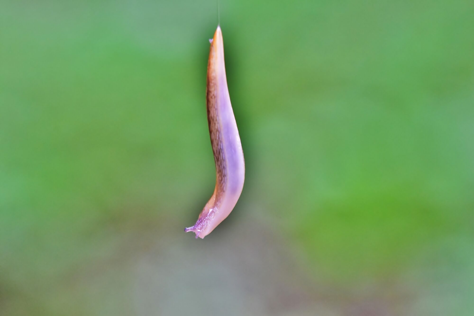 Valokuvaaja: Markku Pelkonen