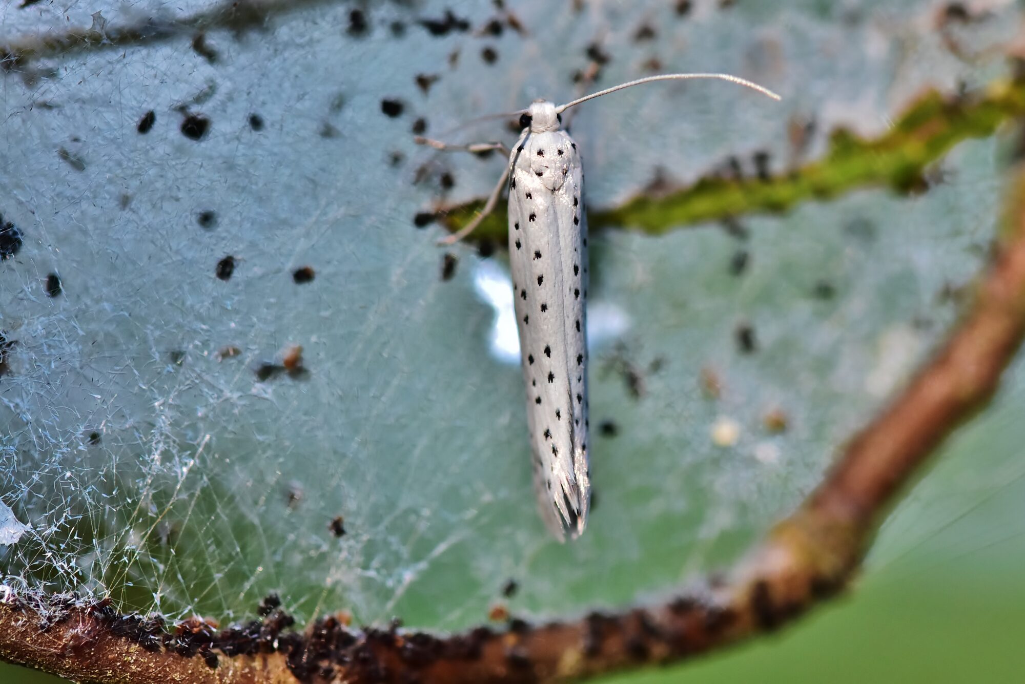 Valokuvaaja: Markku Pelkonen