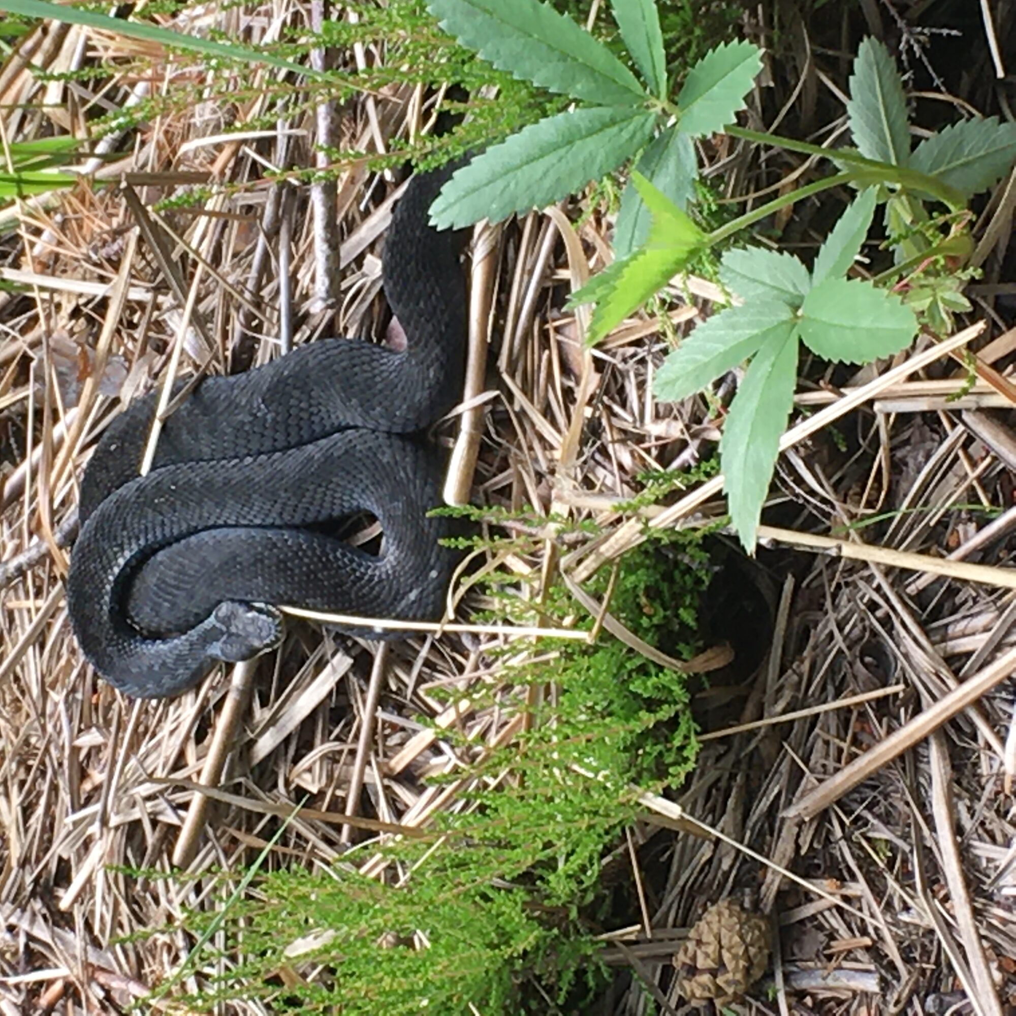 Valokuvaaja: Anne Alarto