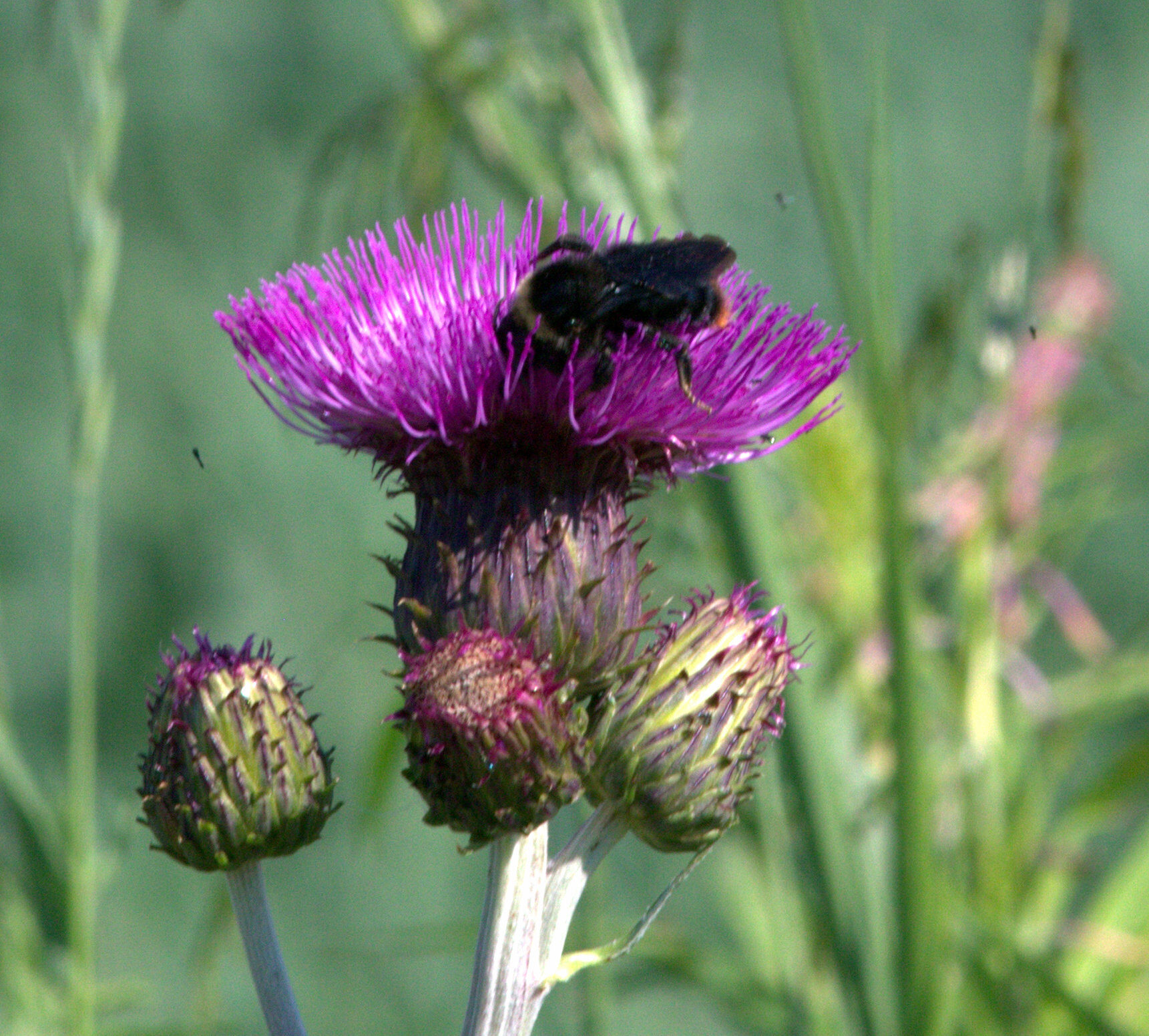 Valokuvaaja: Tapio Keinonen