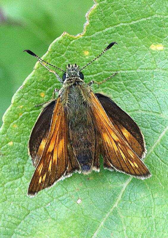 Valokuvaaja: Hannu Rasiranta