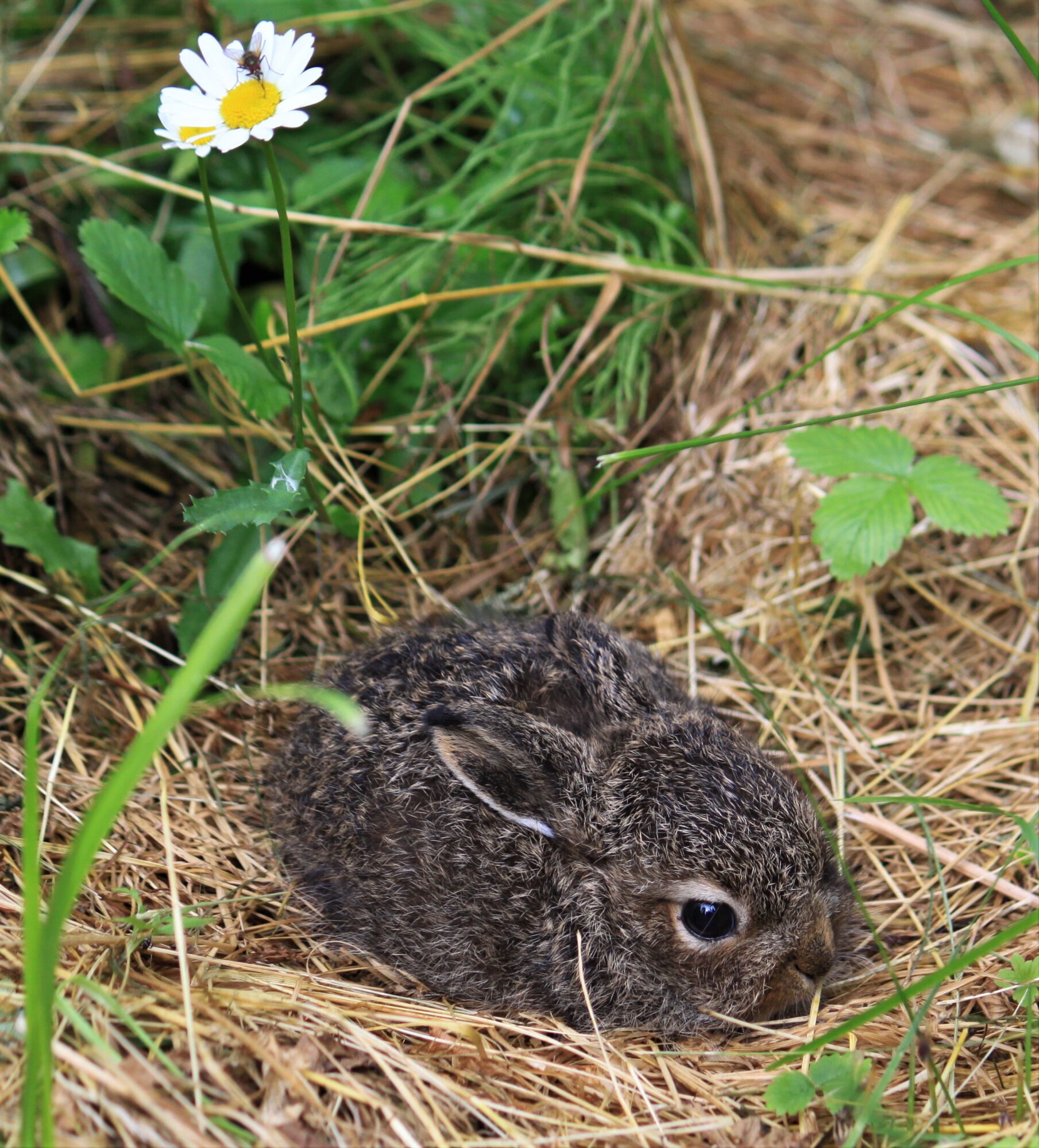Valokuvaaja: Kaarina Heiskanen