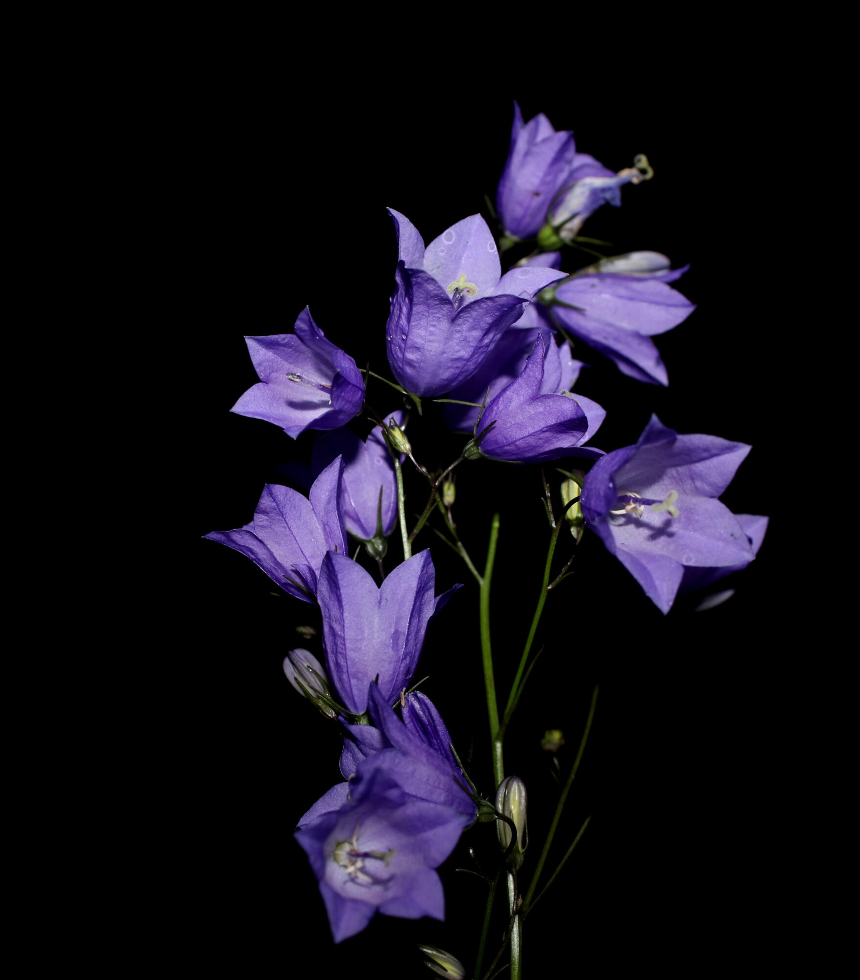 Valokuvaaja: Irja Lehtinen