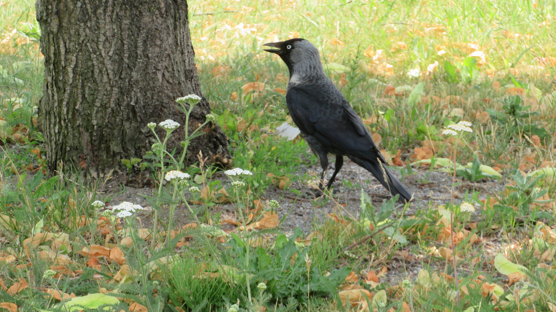 Valokuvaaja: Risto Kangassalo