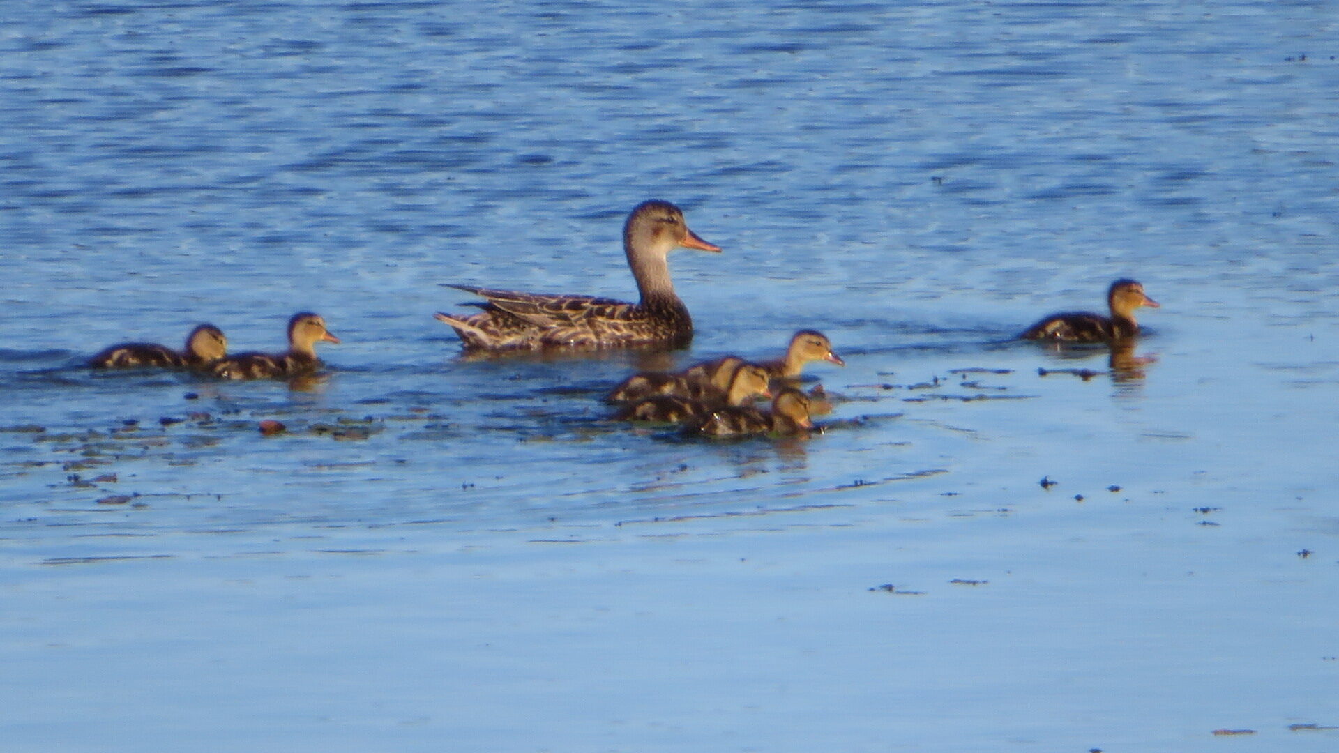 Valokuvaaja: Risto Kangassalo