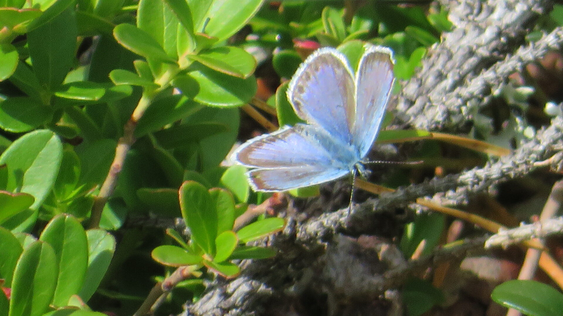 Valokuvaaja: Risto Kangassalo Valokuvaaja: Risto Kangassalo