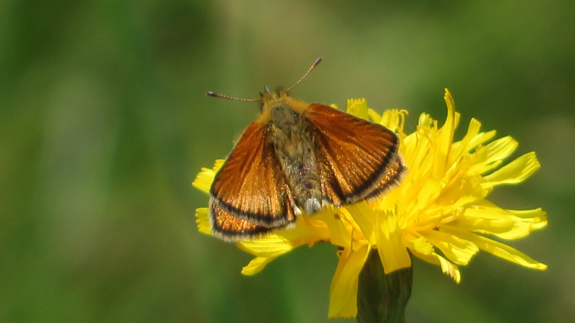 Valokuvaaja: Risto Kangassalo