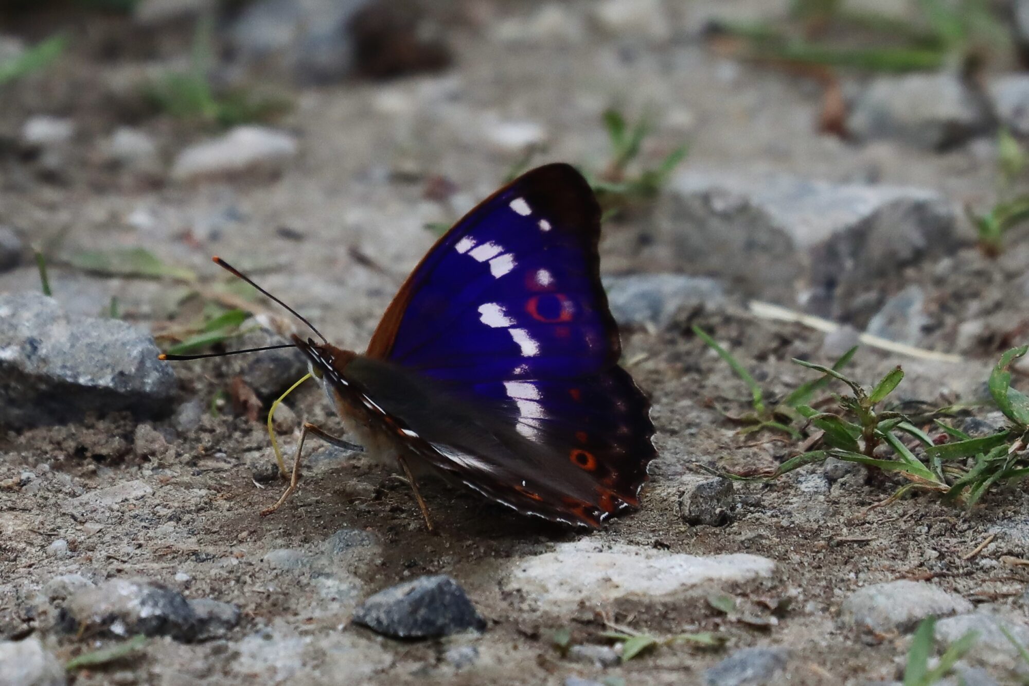 Valokuvaaja: Susanna Hannula