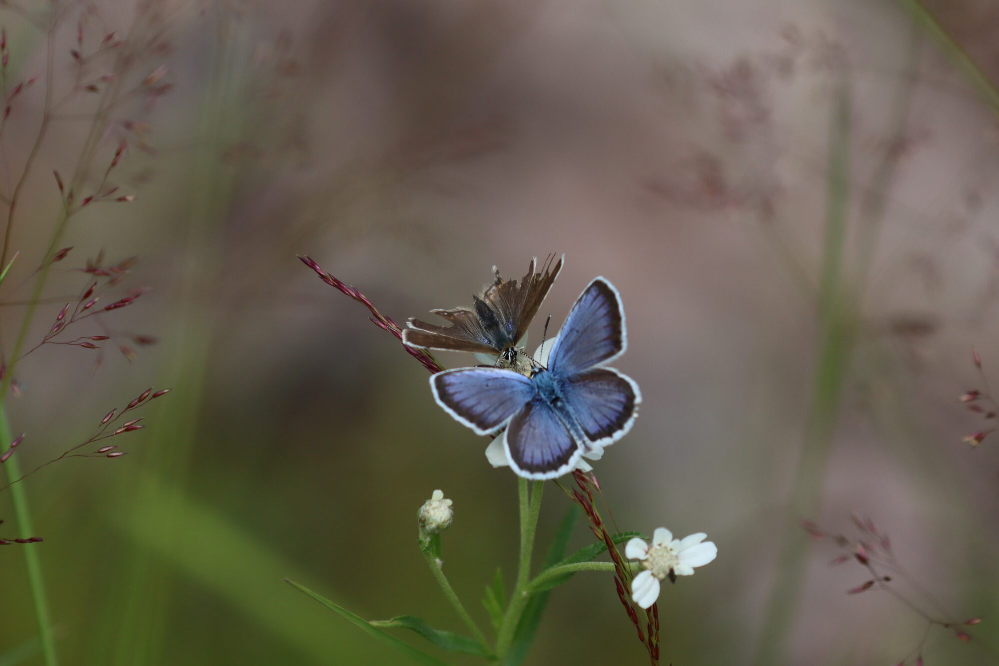 Valokuvaaja: Susanna Hannula