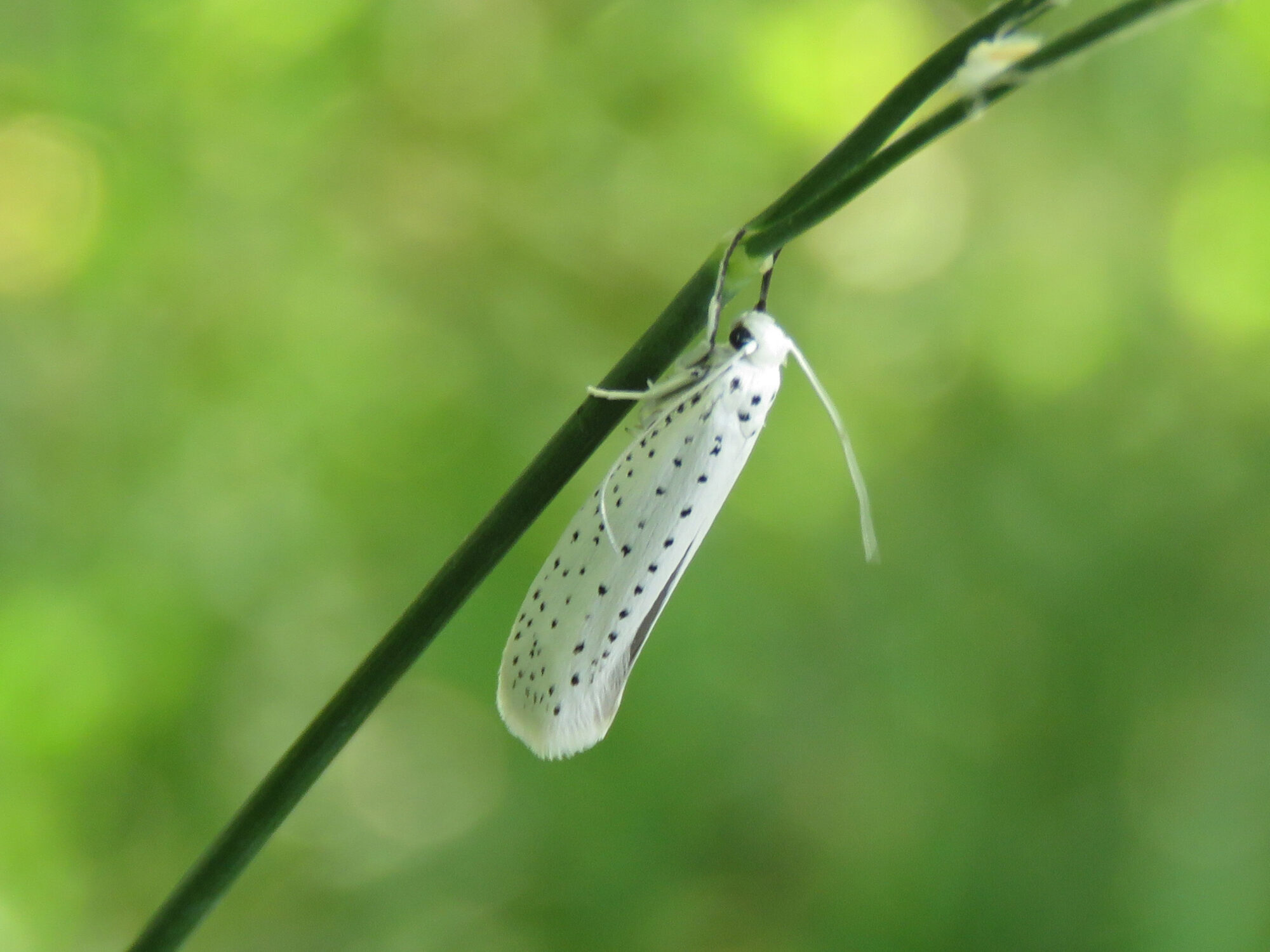 Valokuvaaja: Liisa Johansson Valokuvaaja: Liisa Johansson