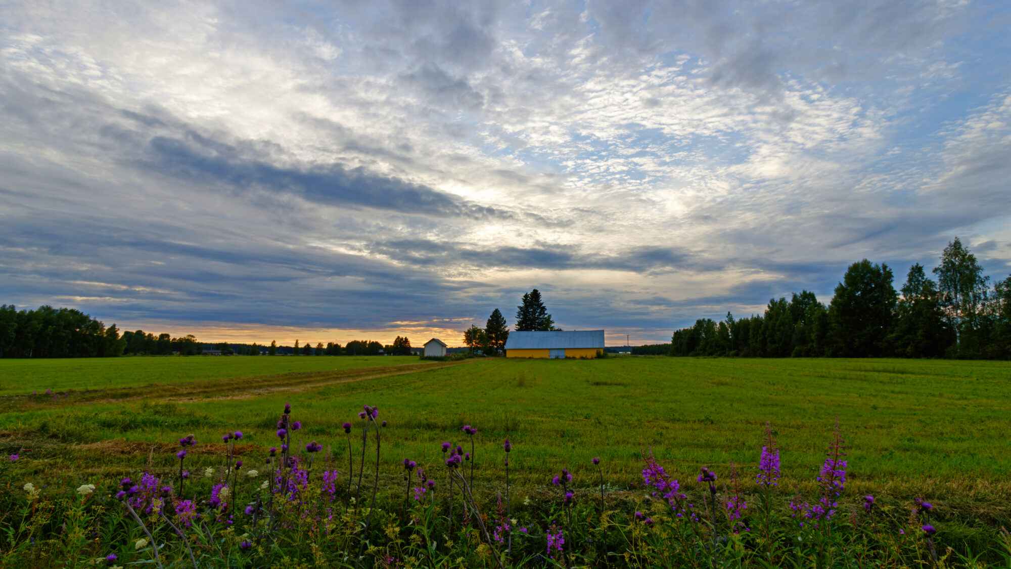 Valokuvaaja: SINIKKA KUJALA