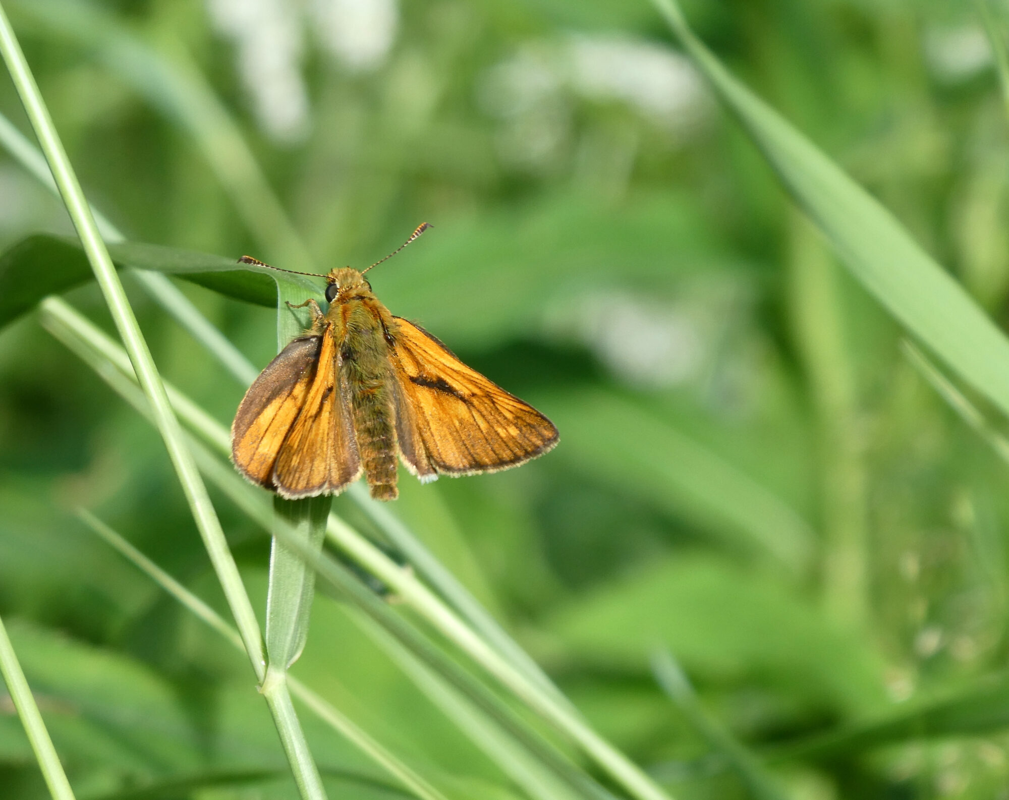 Valokuvaaja: Liisa Niiva-Korpela