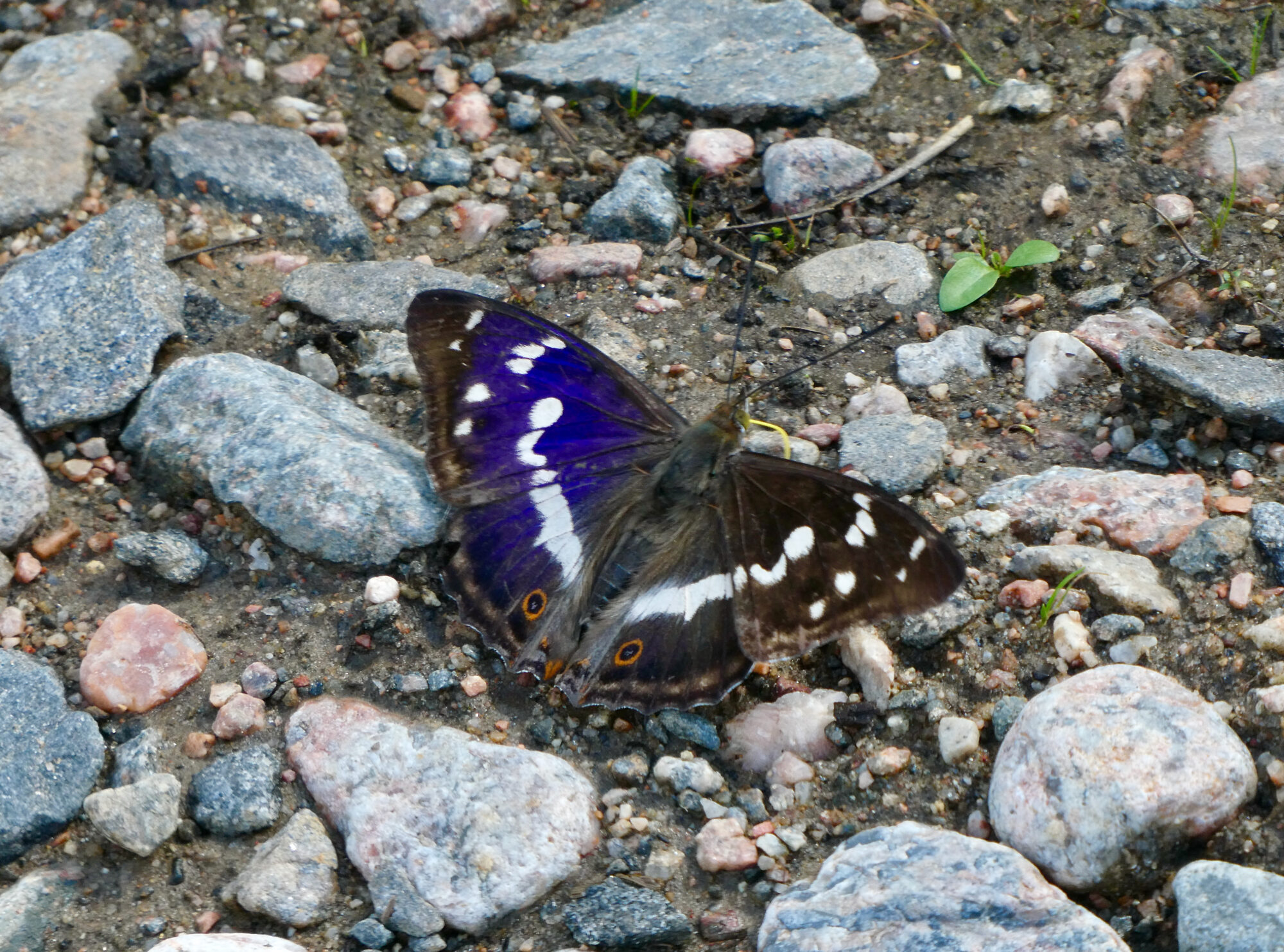 Valokuvaaja: Liisa Niiva-Korpela