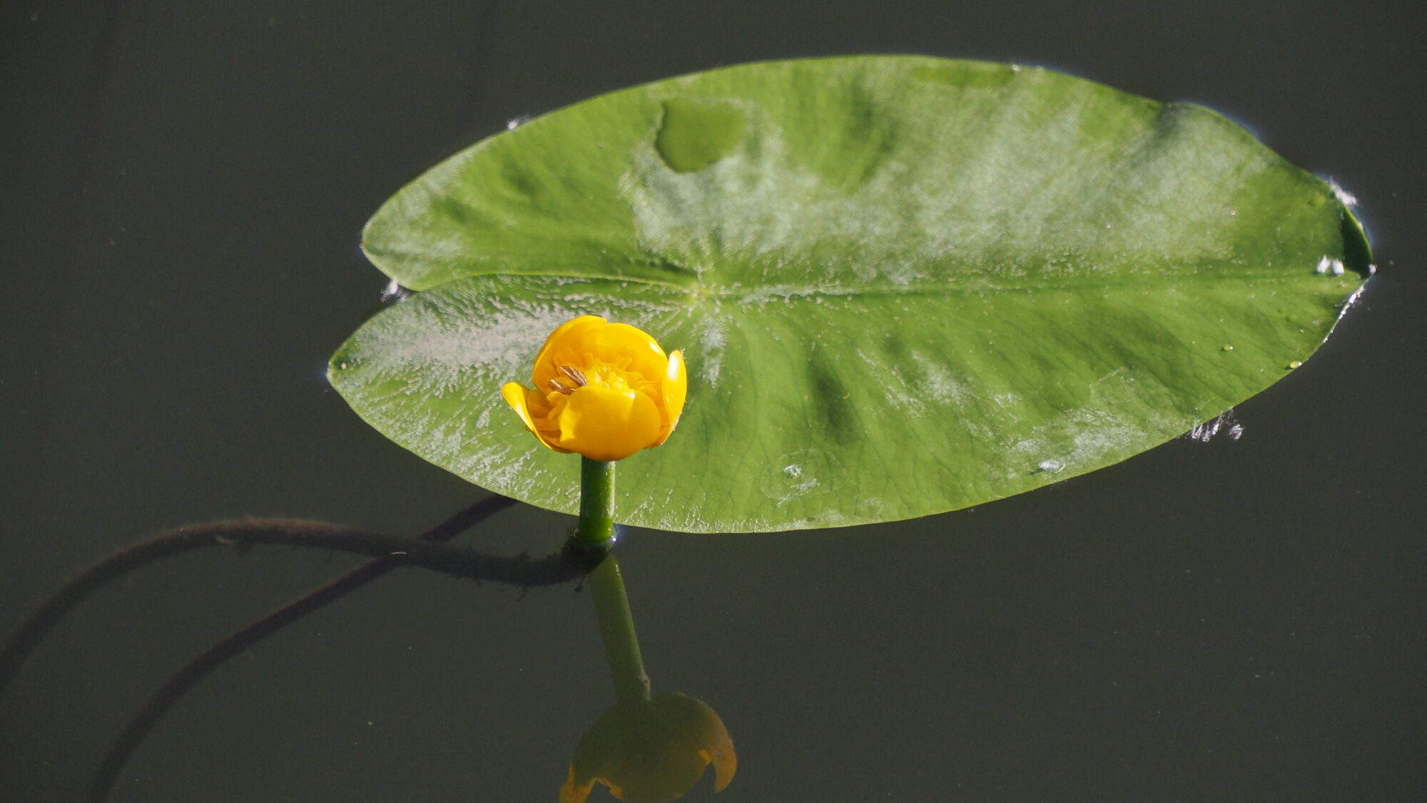 Valokuvaaja: Martti Valtonen