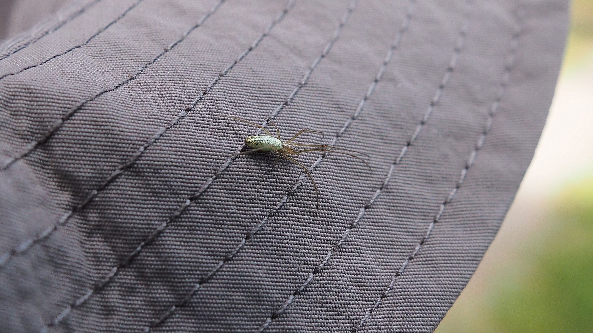 Valokuvaaja: Martti Valtonen