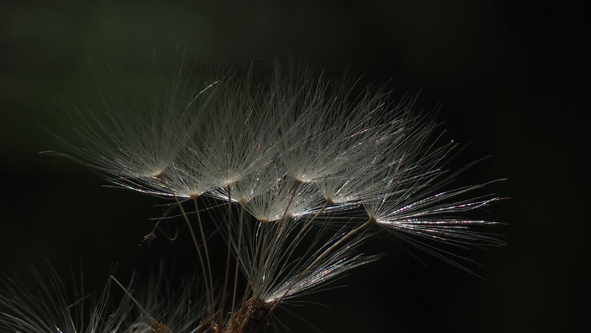 Valokuvaaja: Arja Valtonen