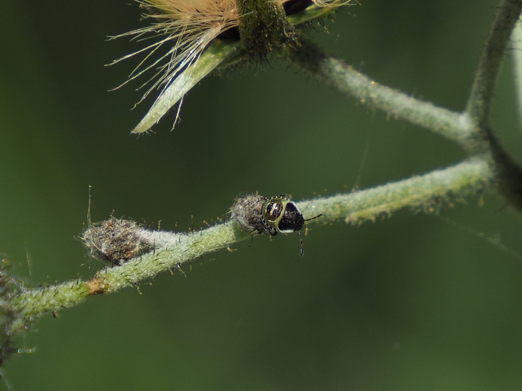 Valokuvaaja: Martti Valtonen