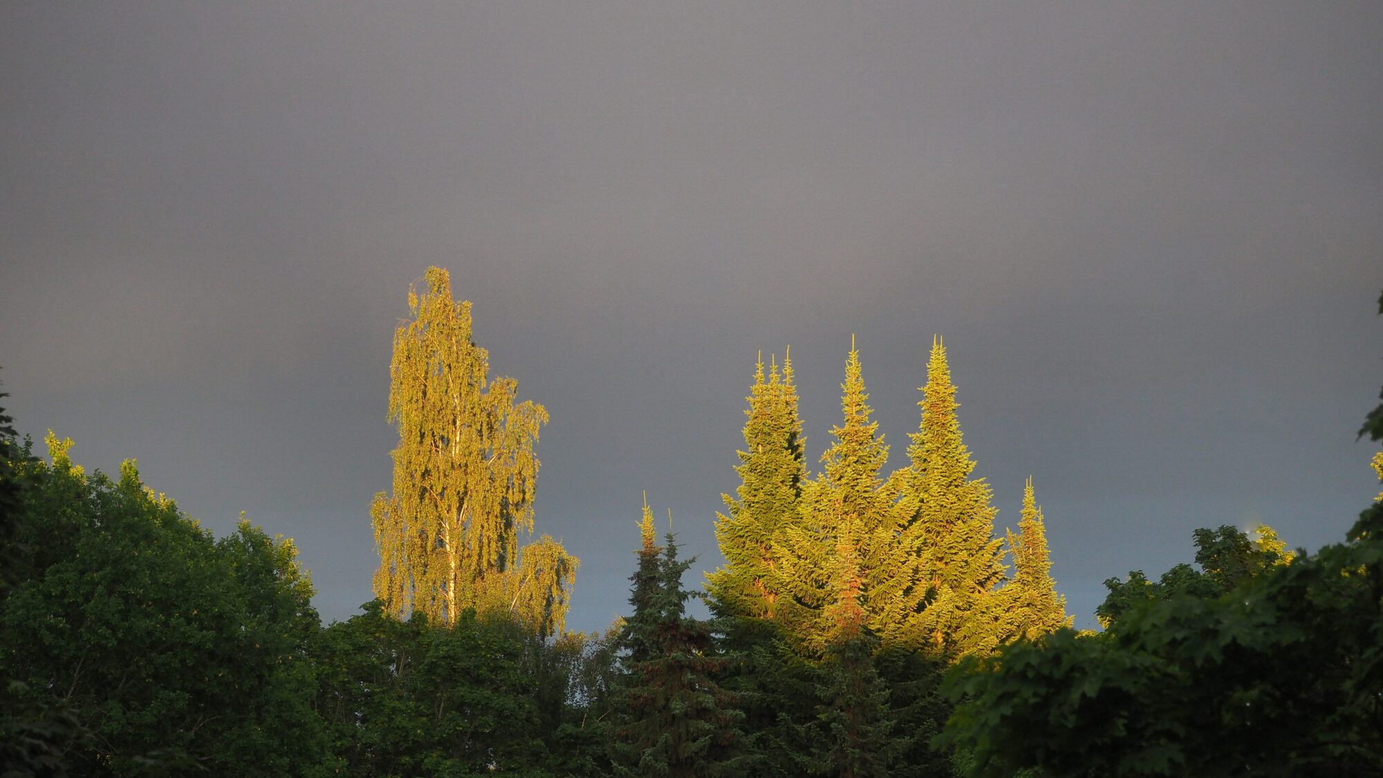 Valokuvaaja: Martti Valtonen Valokuvaaja: Martti Valtonen