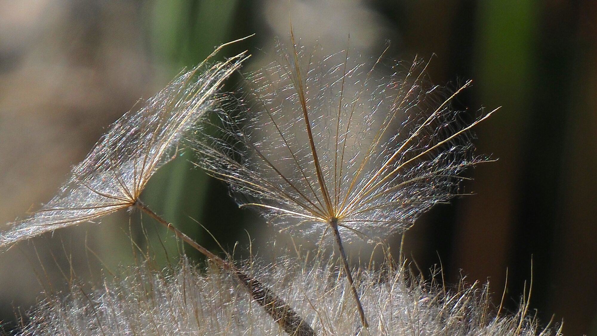 Valokuvaaja: Arja Valtonen Valokuvaaja: Arja Valtonen