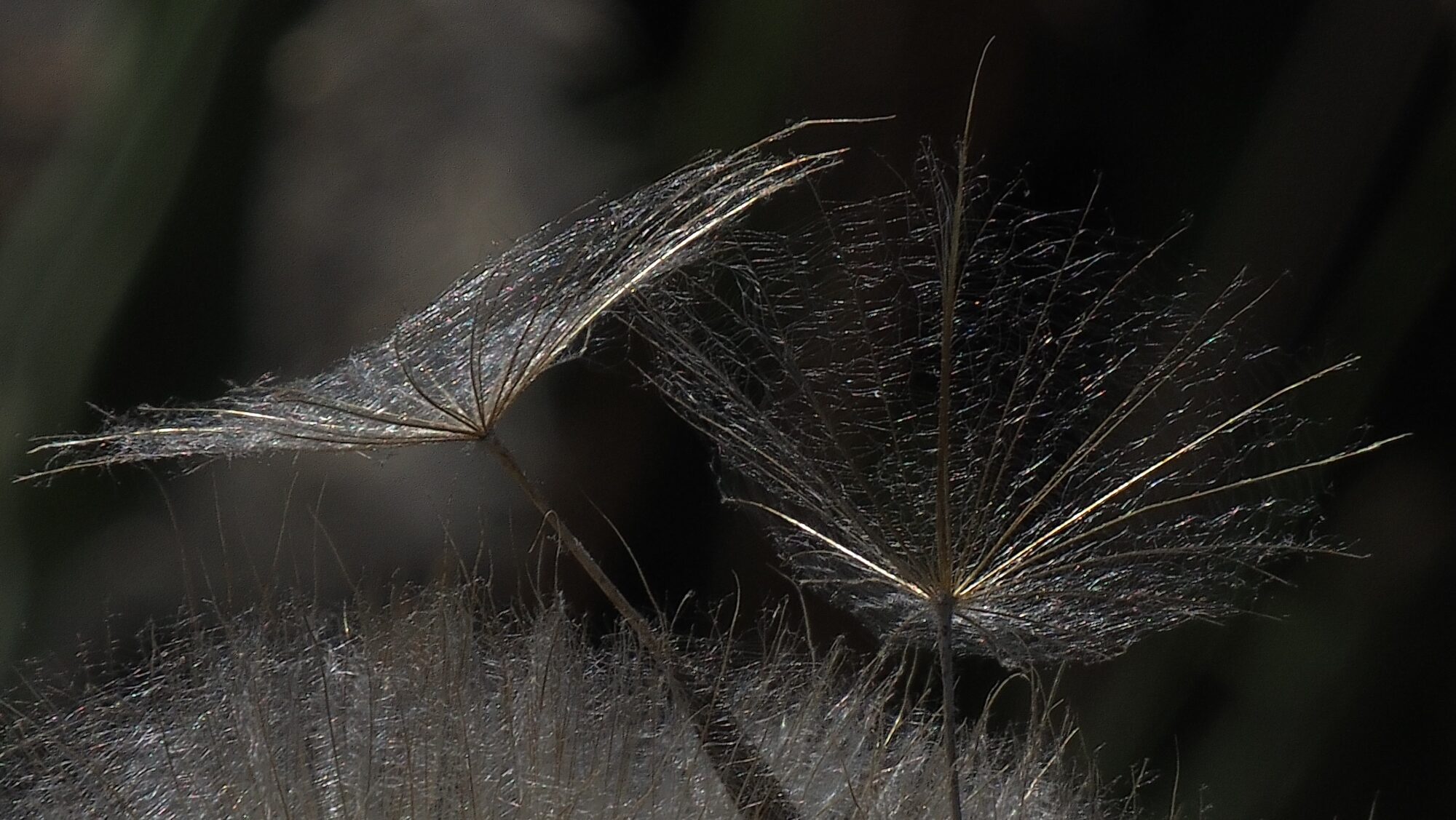 Valokuvaaja: Arja Valtonen Valokuvaaja: Arja Valtonen